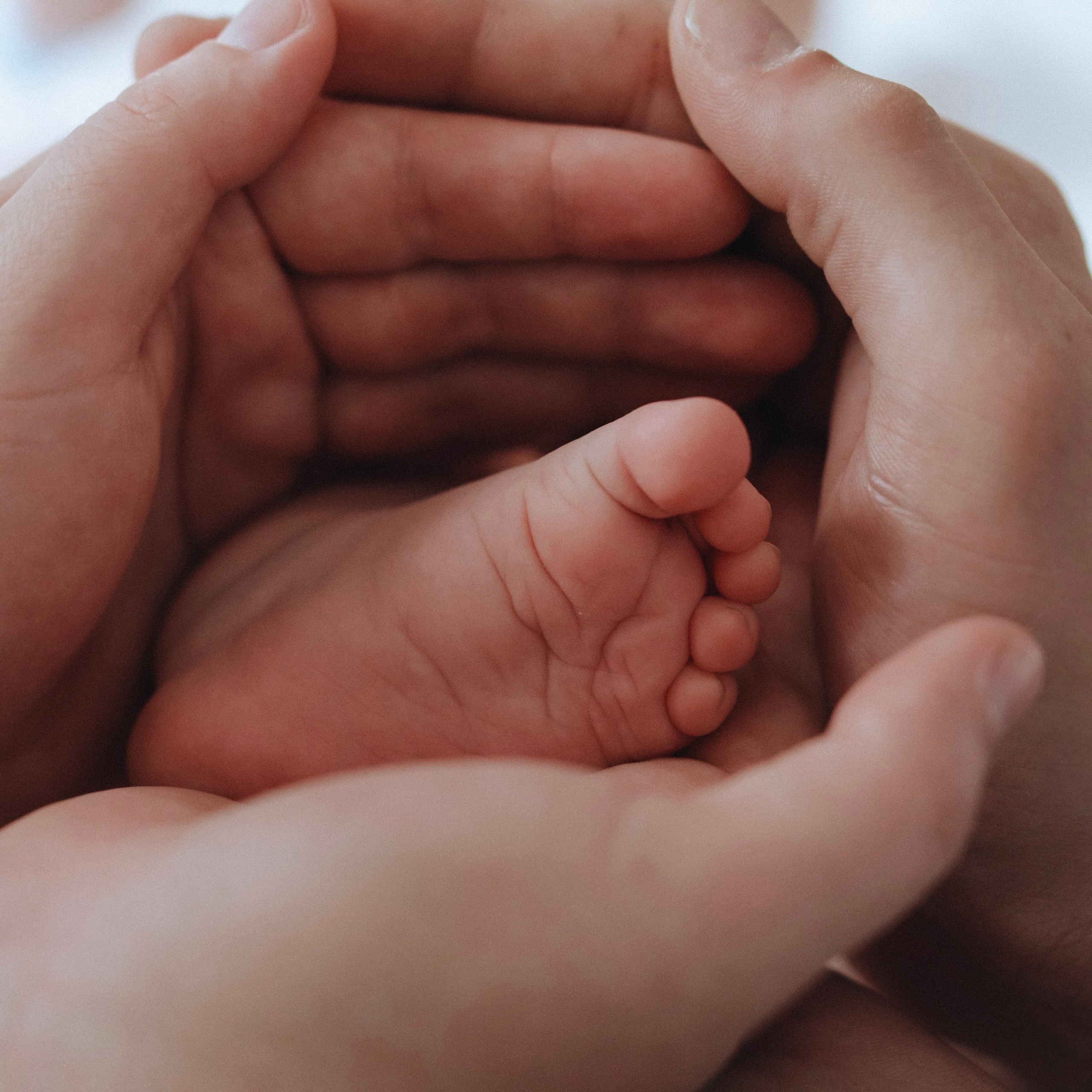 Семья Павлика