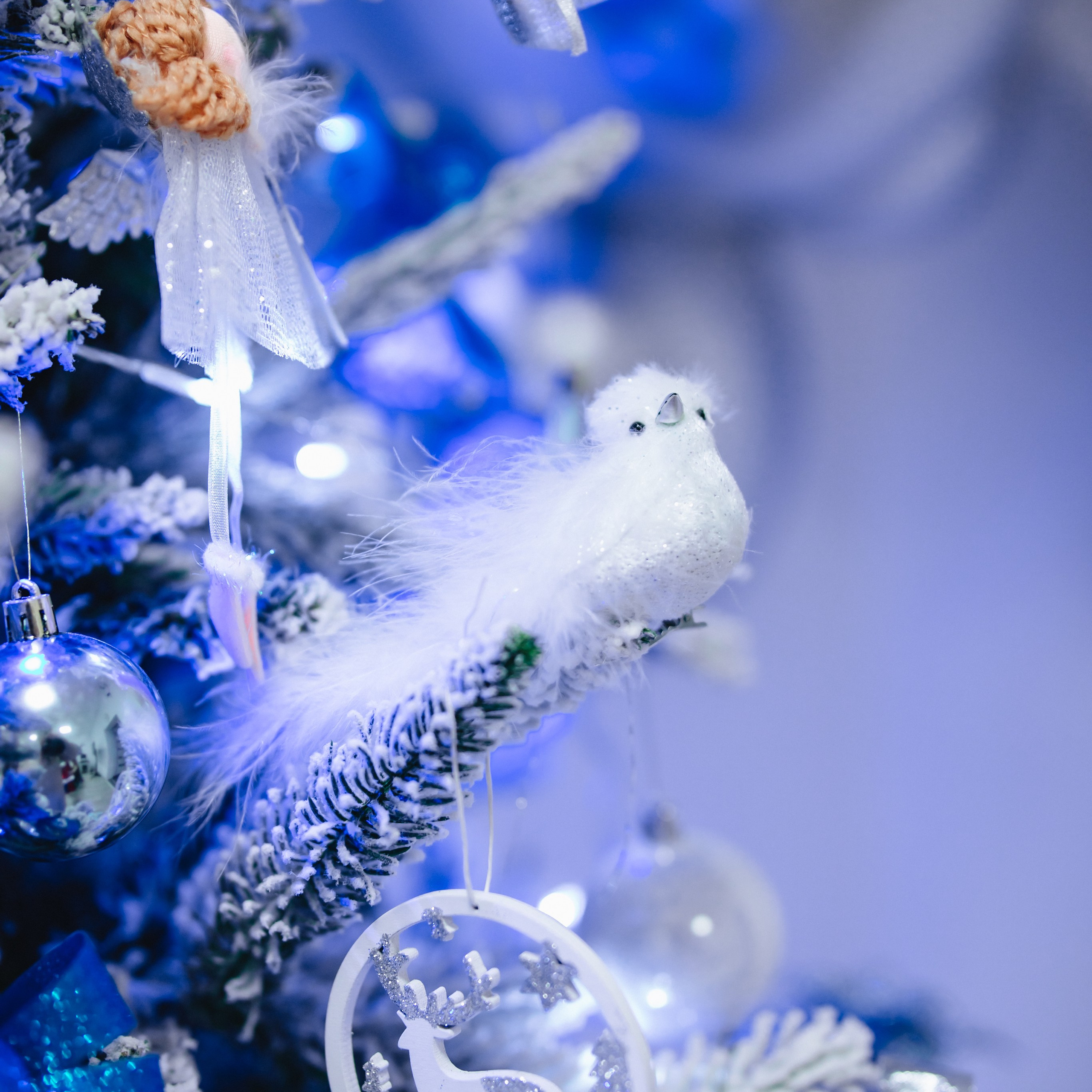 Новогодний Утренник. Фотограф в Мурманске Диана Борисова