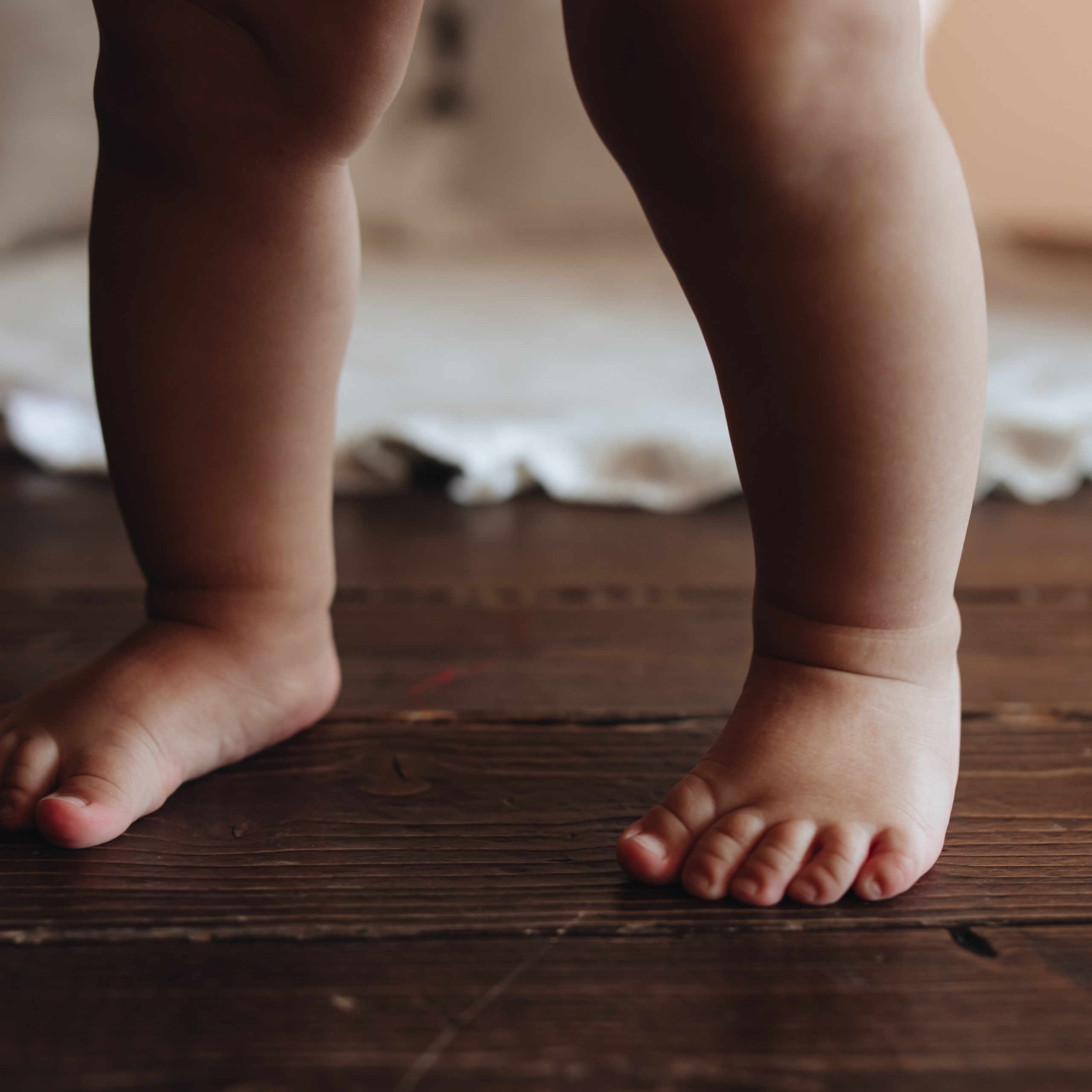 Васильку годик. Фотограф в Мурманске Диана Борисова