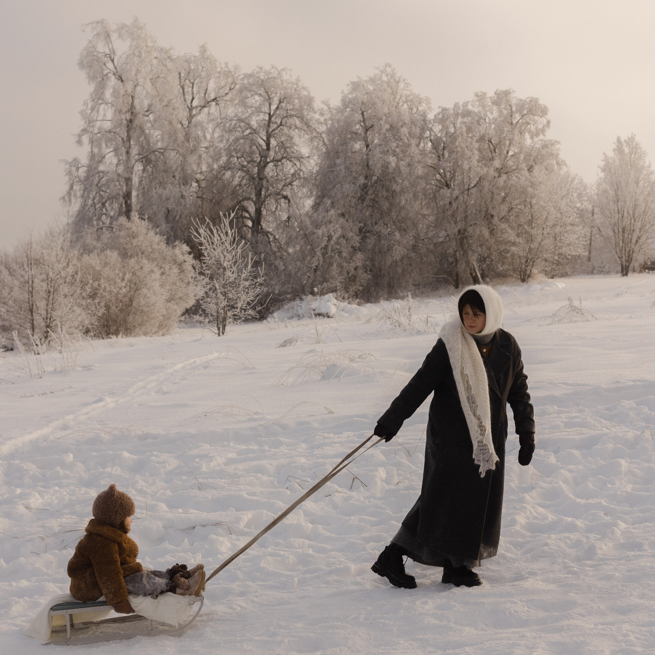 Снежной зимой