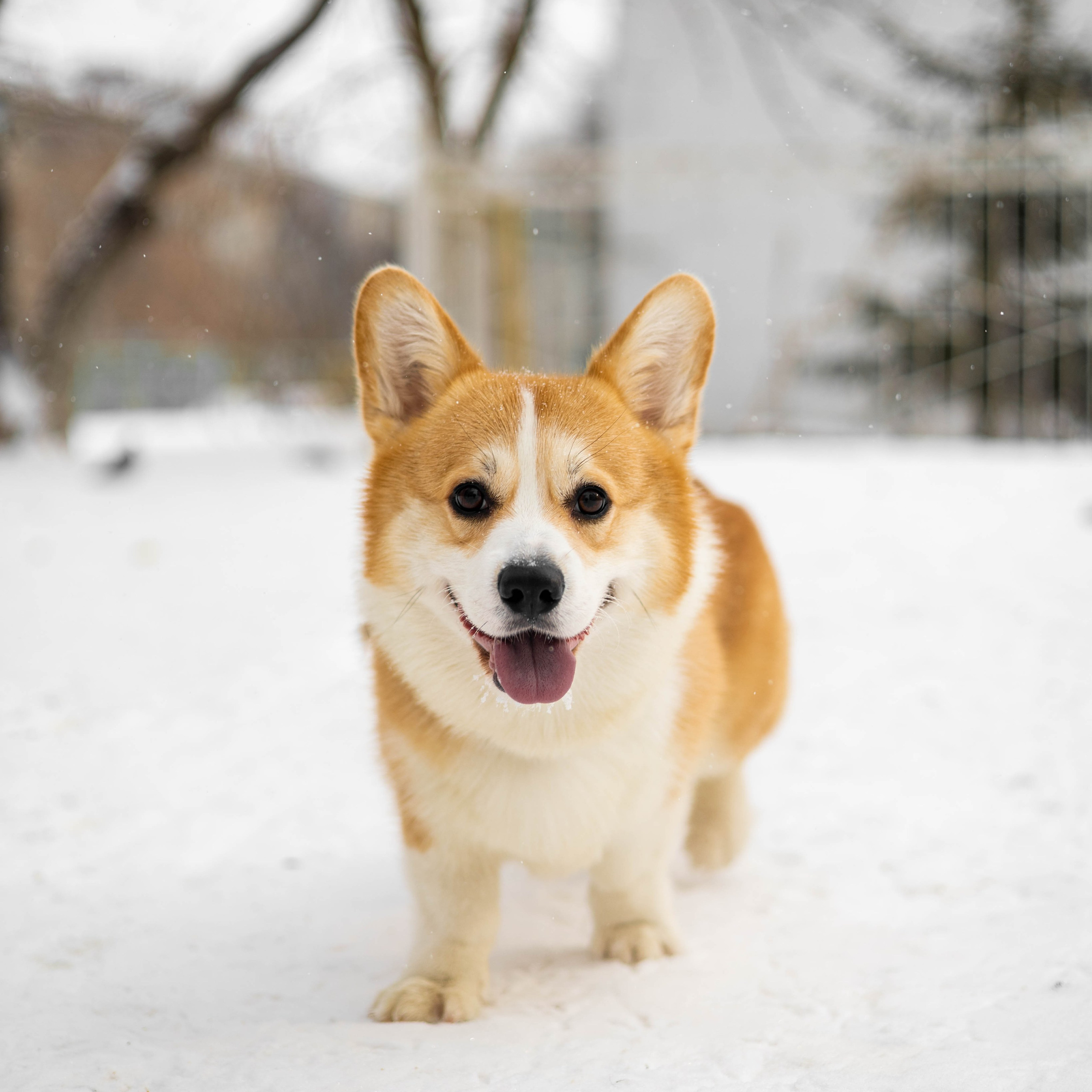 Отзывы. Фотограф Татьяна Власова