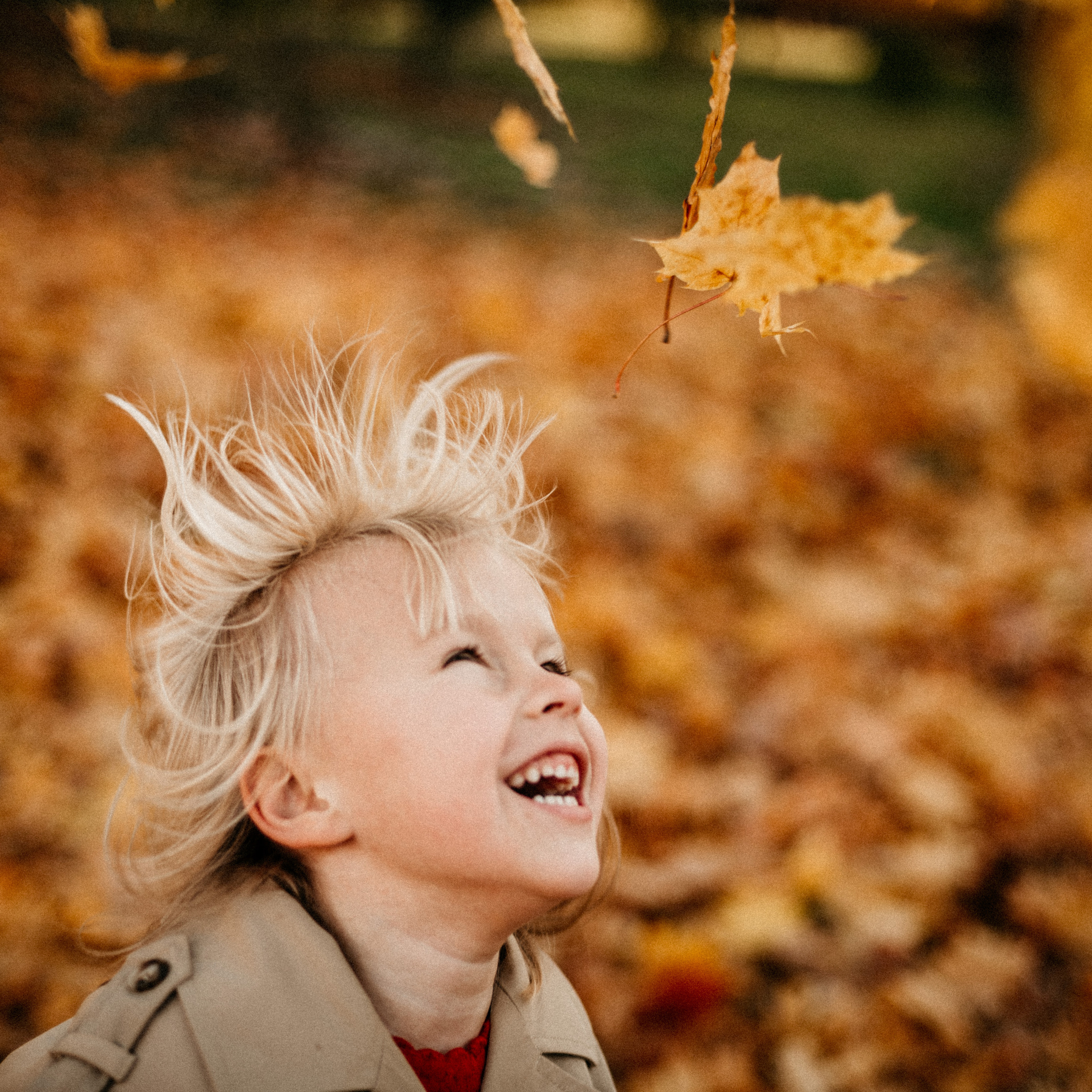 Lifestyle Фотограф Анастасия Донюшкина. Lifestyle Фотограф Анастасия Донюшкина