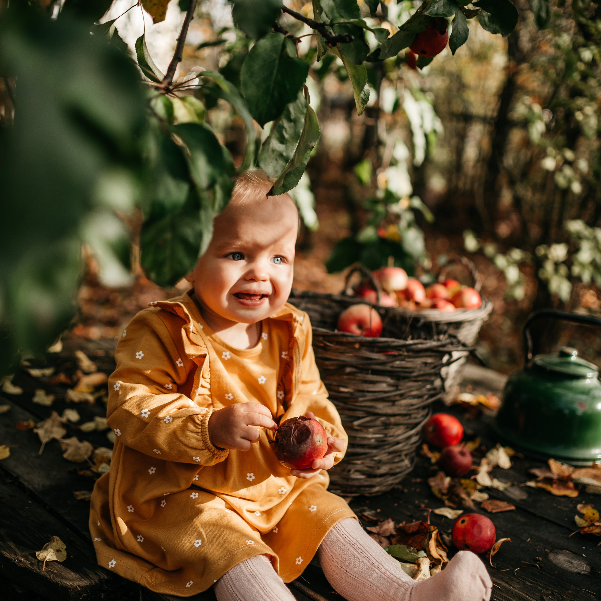 Осенние зарисовки