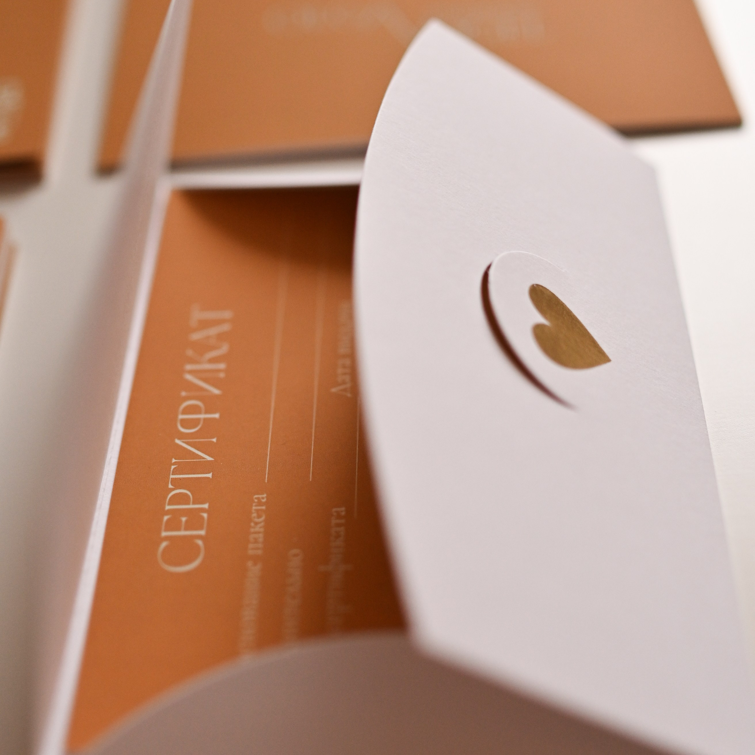 Подарочный сертификат. НЬЮБОРН ФОТОСЕССИИ, БЕРЕМЕННОСТЬ, ПОРТРЕТНЫЕ СЕМЕЙНЫЕ ФОТОСЕССИИ  Ногинск Москва ОЛЬГА ВОГЕЛЬ