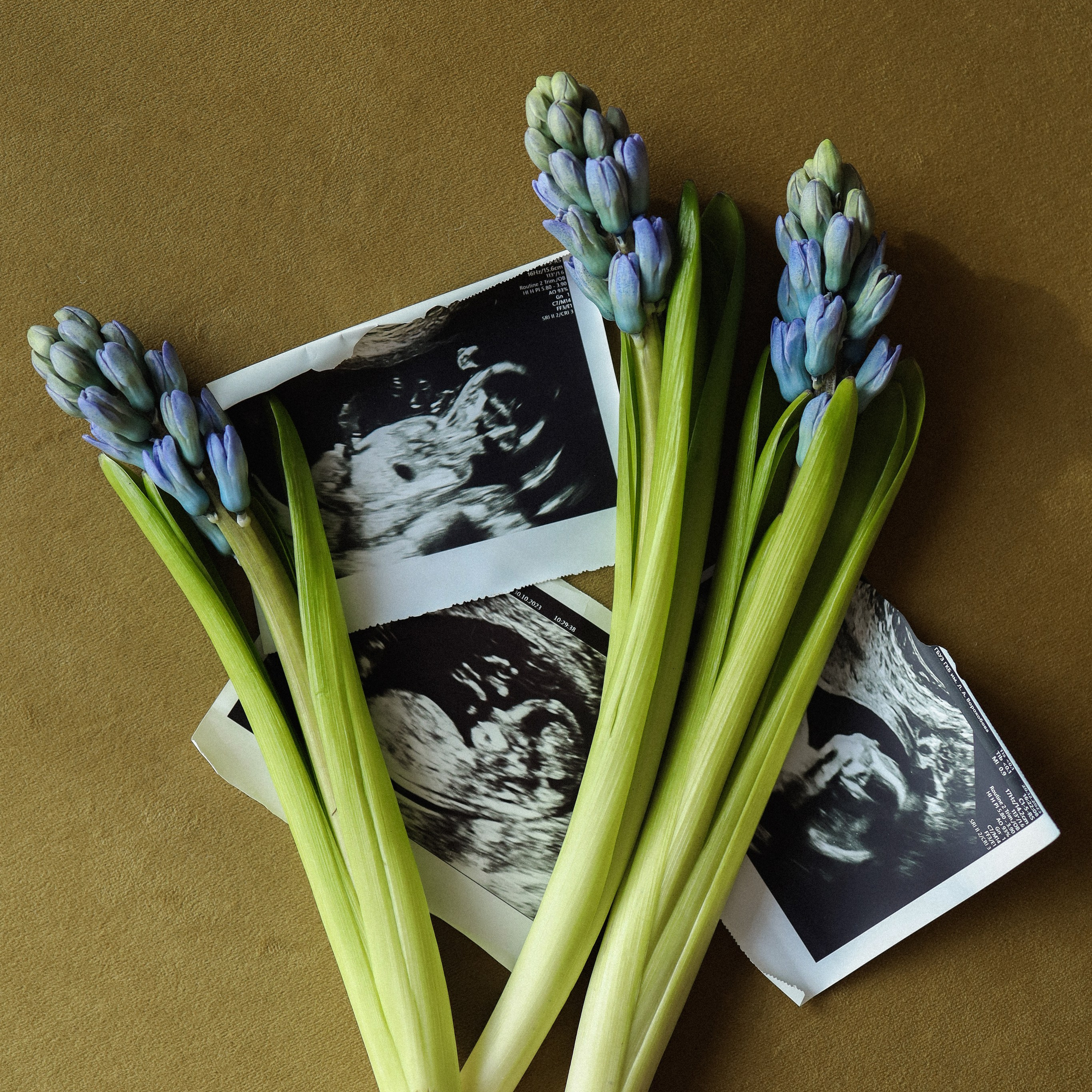 Сильвия и Андрей