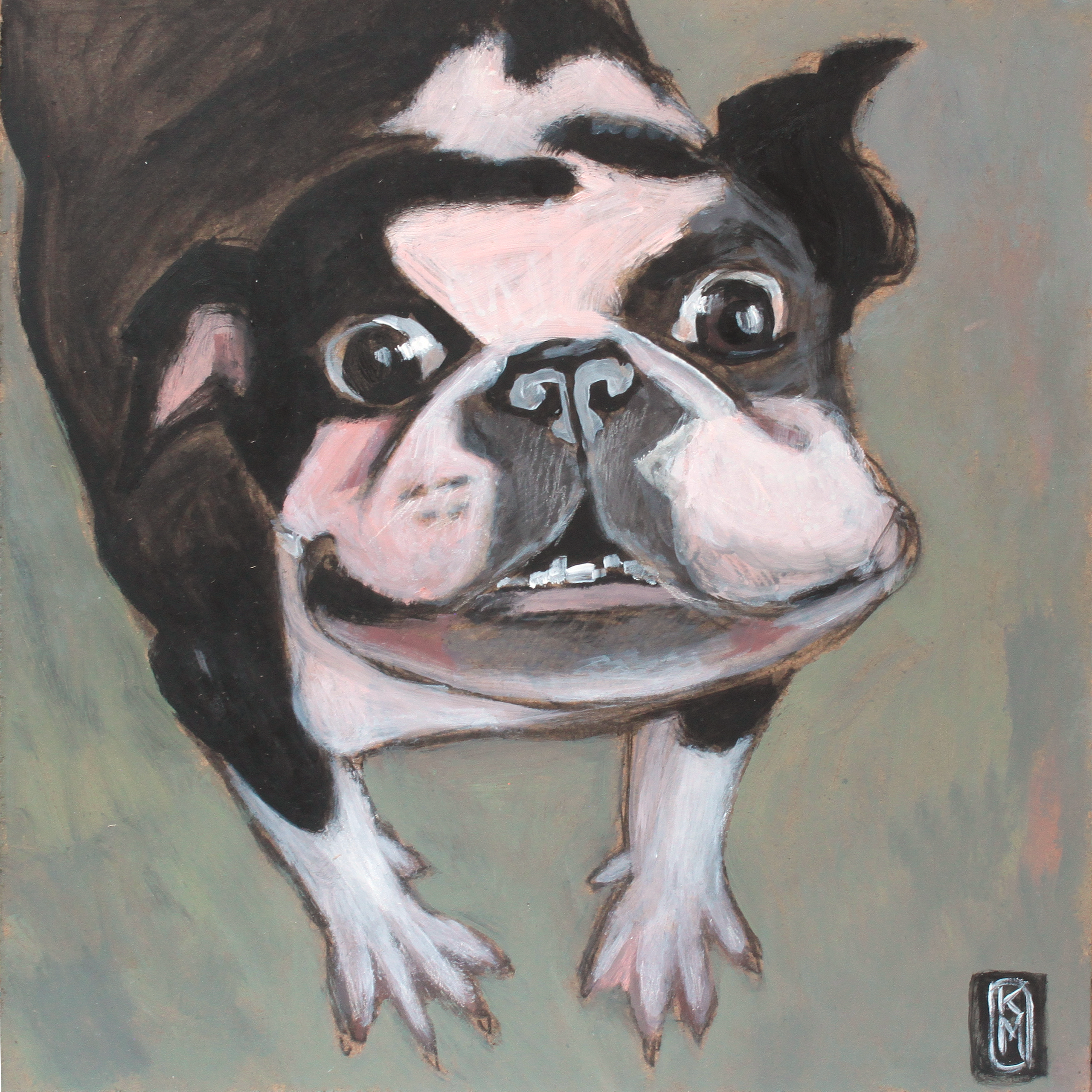 Любимое зверьё