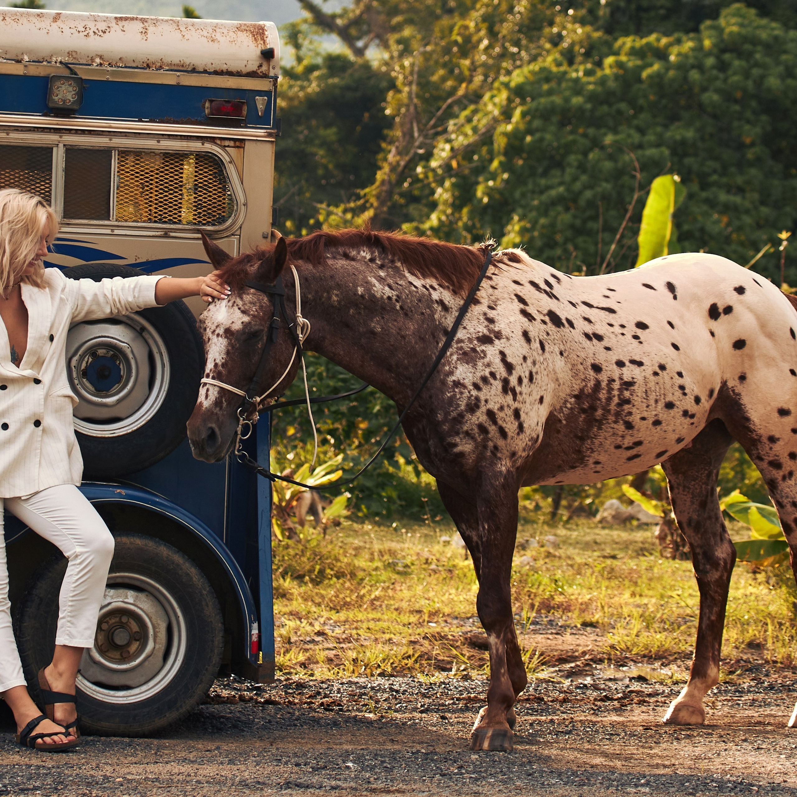 Reviews. Phuket Photographer ✨ Anna Moskvina