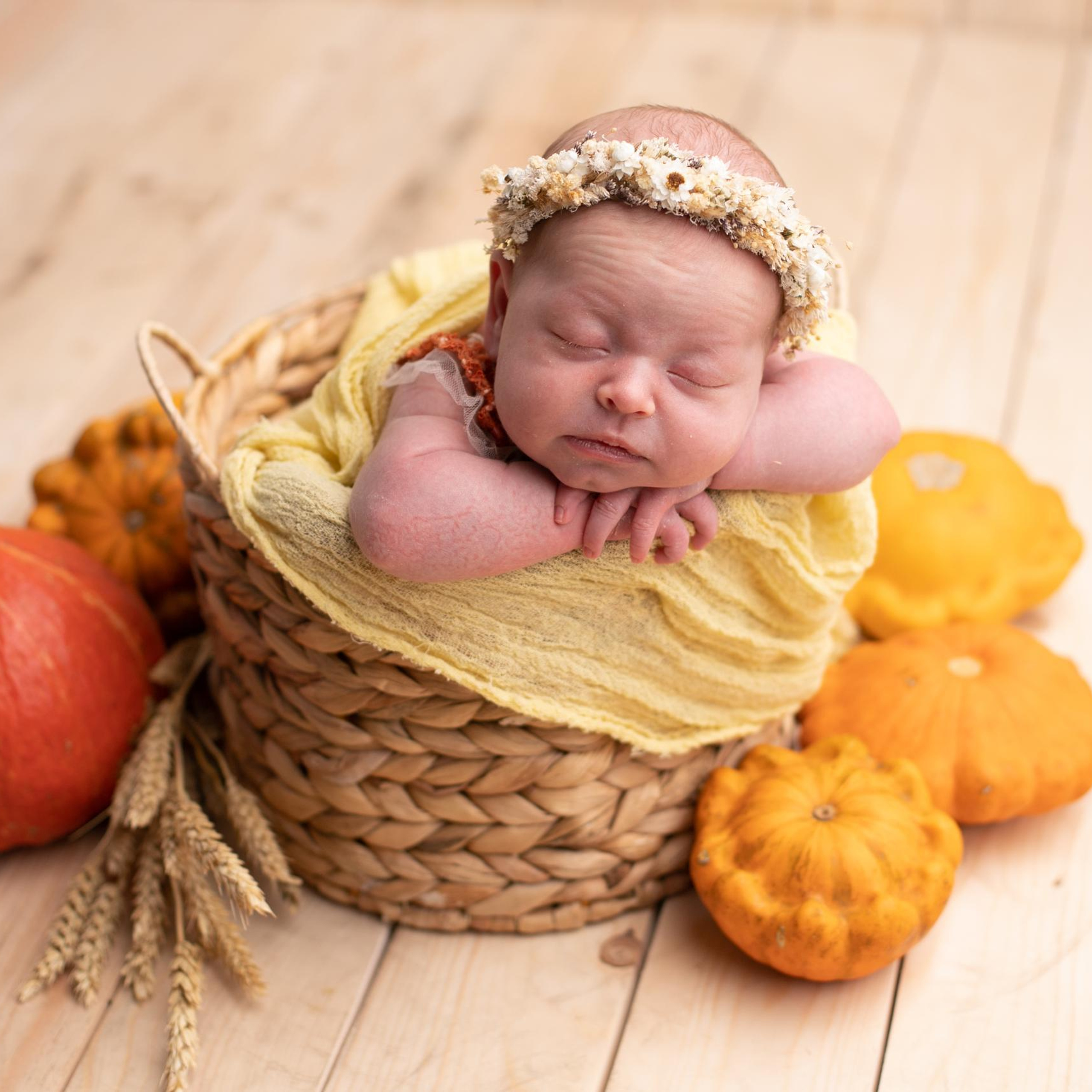 Отзывы. Фотограф новорожденных в г. Россошь Виктория Нечепуренко