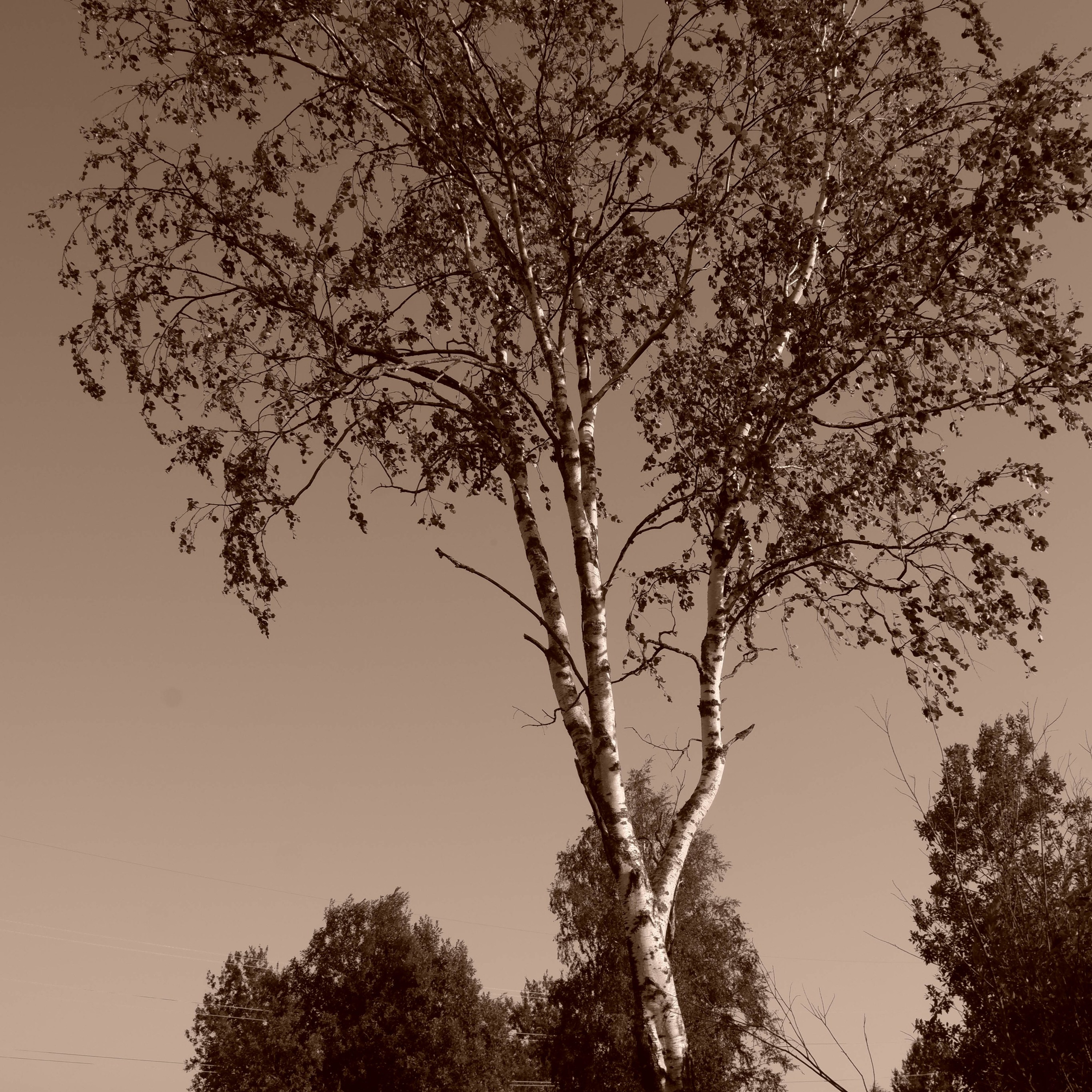 Открытки. Фотограф | Александр Очковский