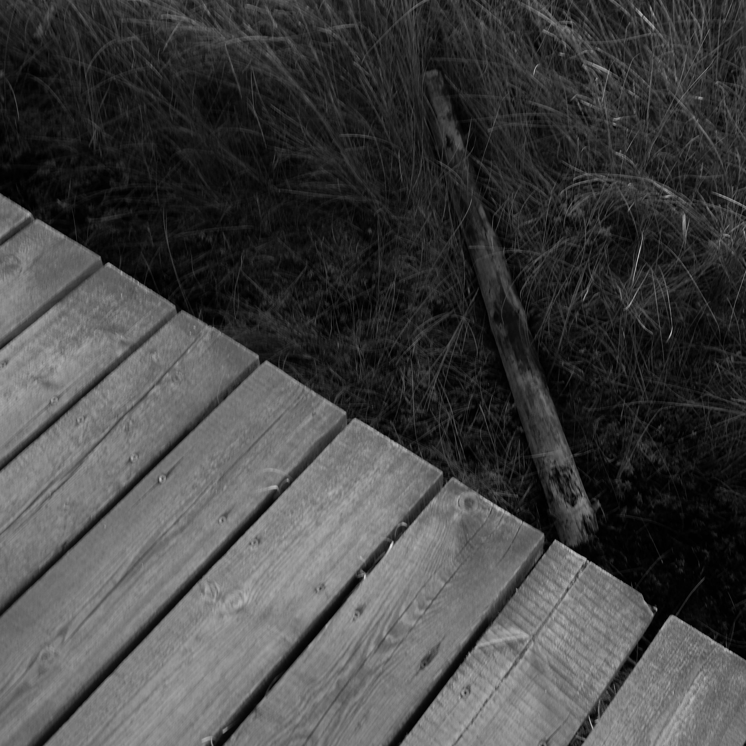 Открытки. Фотограф | Александр Очковский