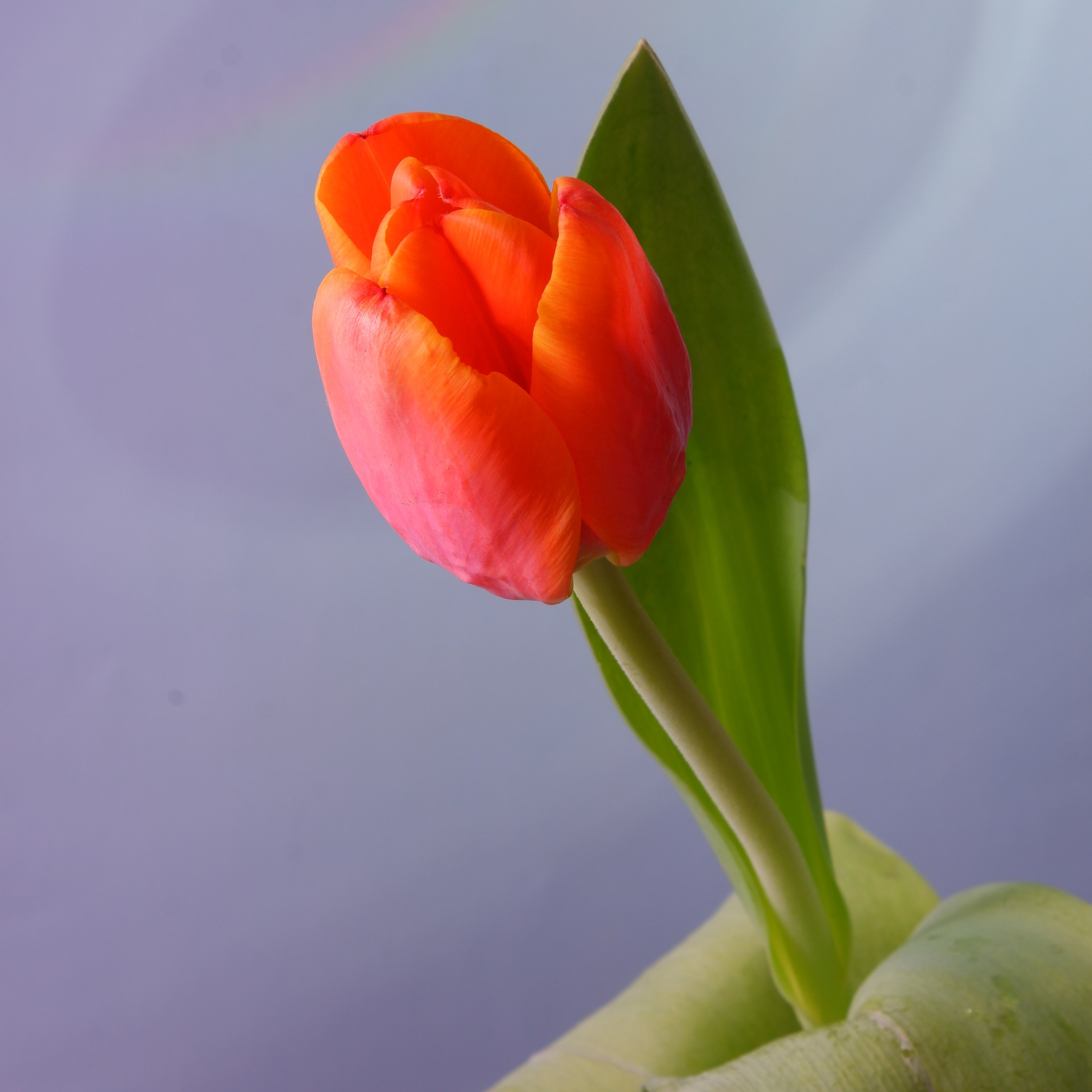 Открытки. Фотограф | Александр Очковский