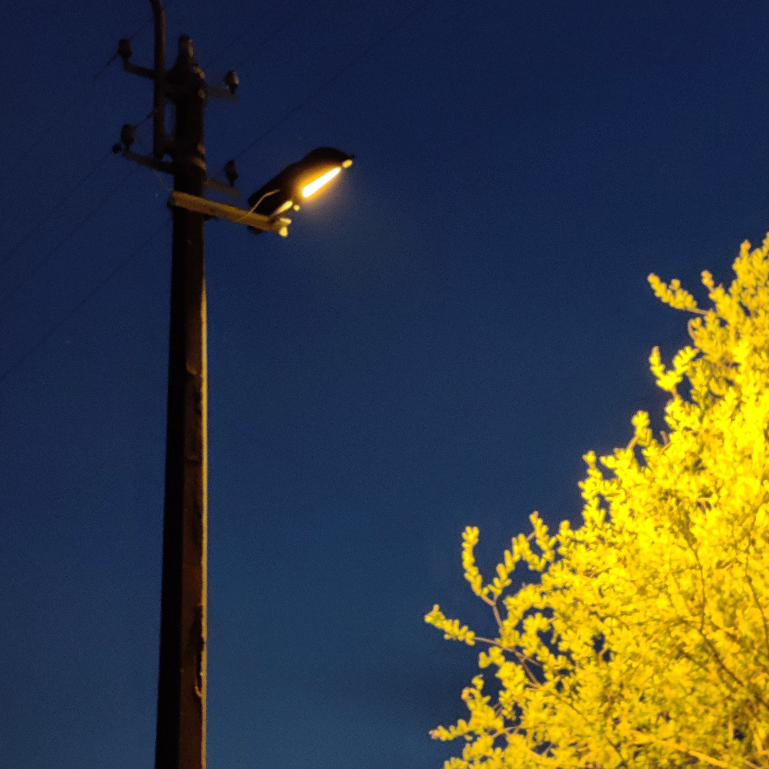 Открытки. Фотограф | Александр Очковский