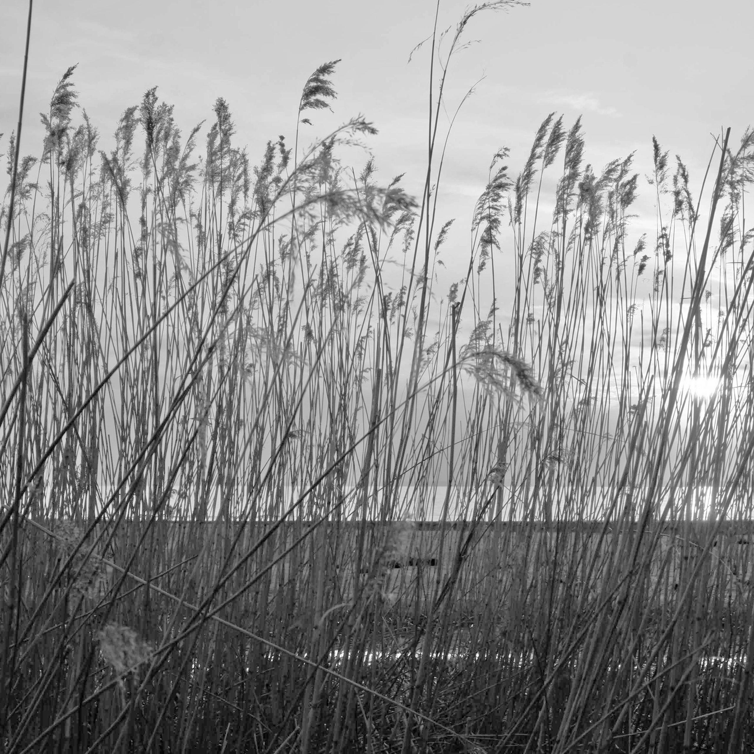 Фотограф | Александр Очковский