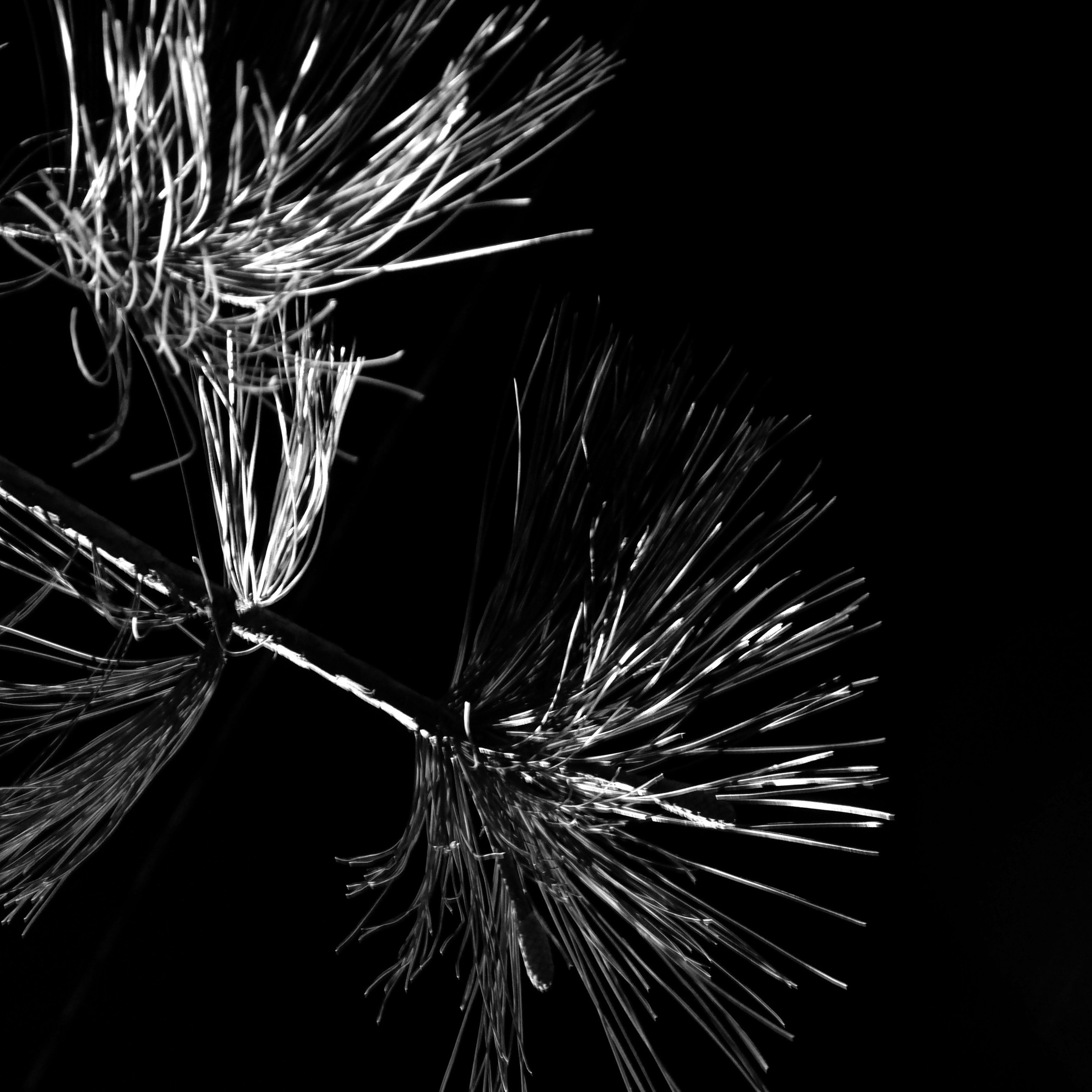 Открытки. Фотограф | Александр Очковский