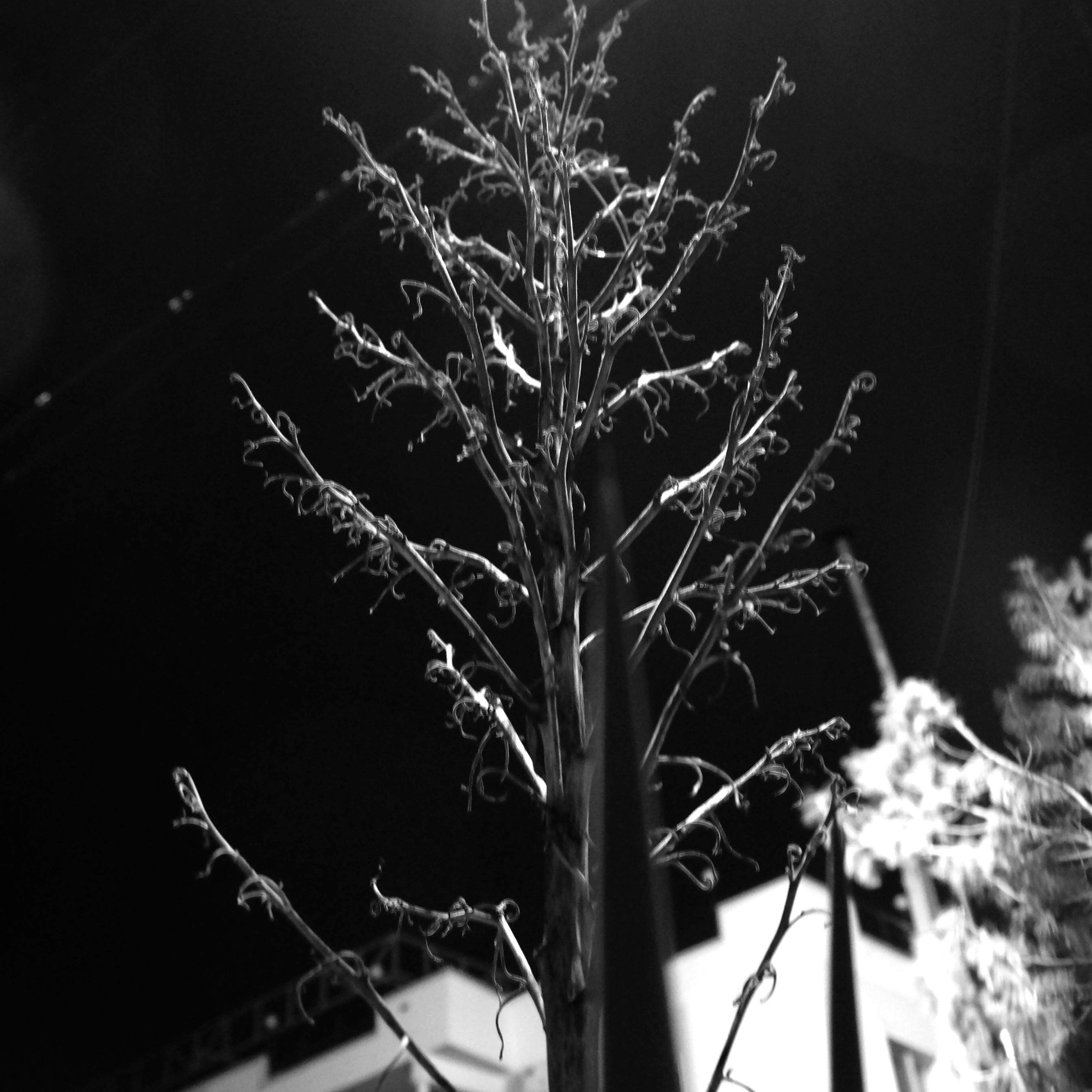 Открытки. Фотограф | Александр Очковский