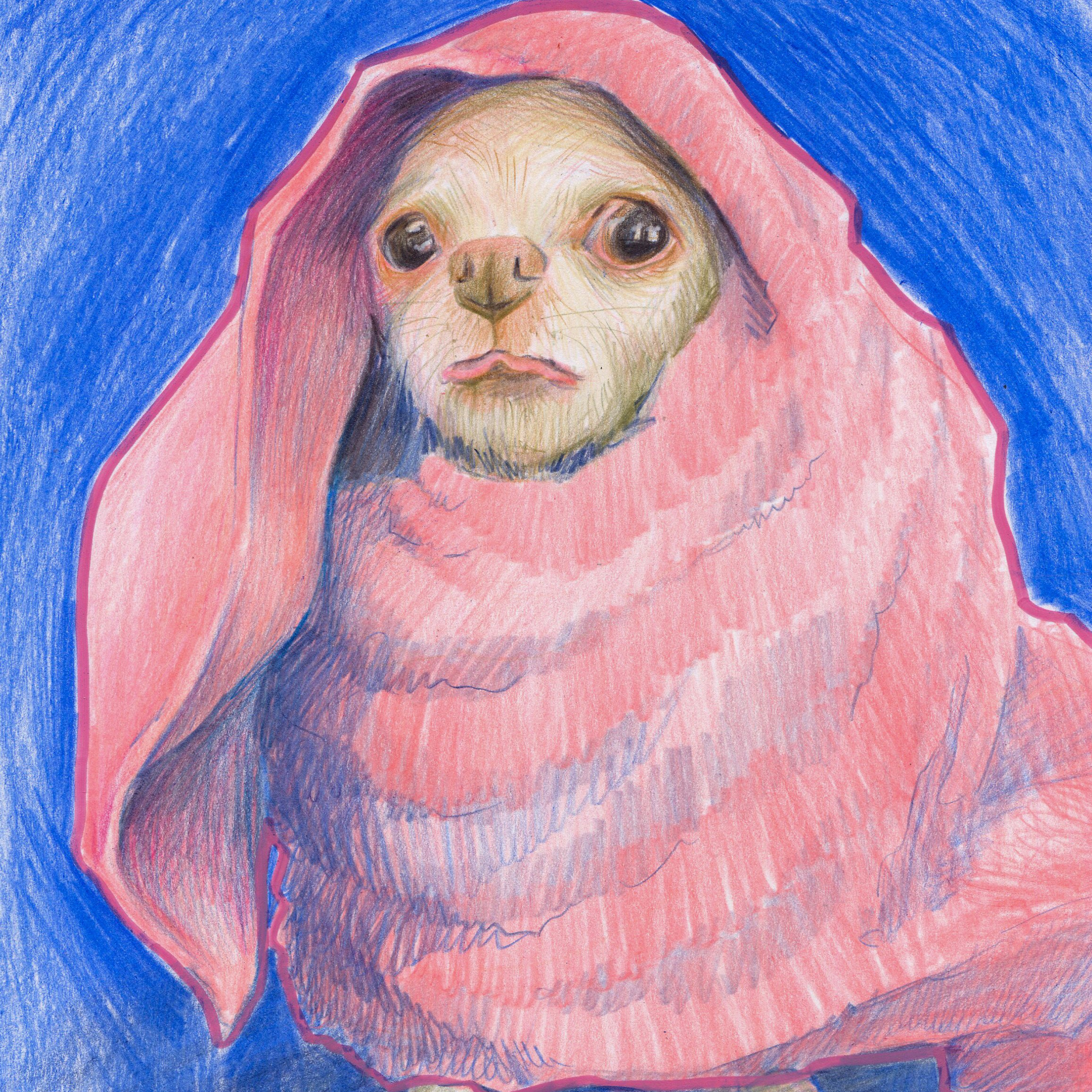 Звери