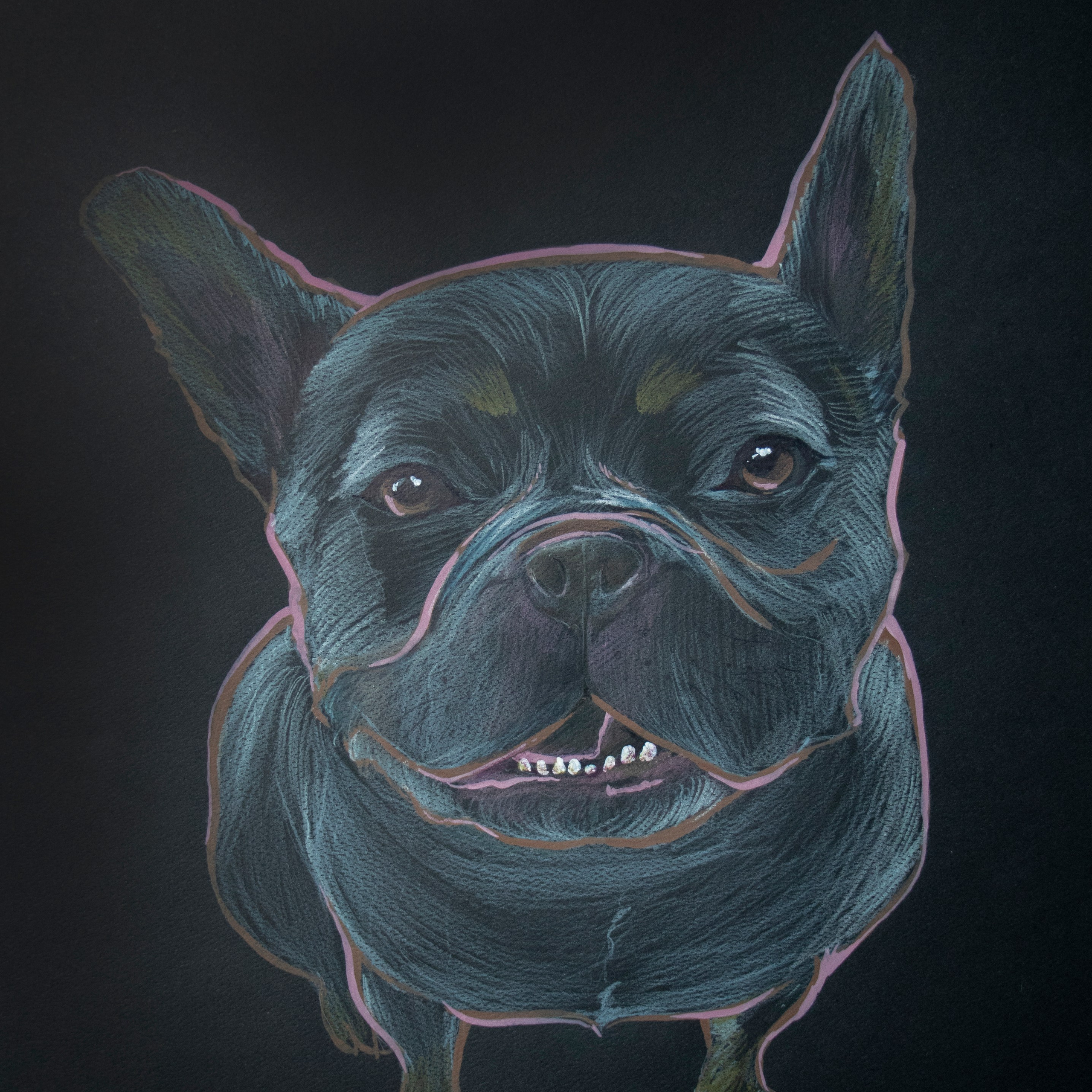 Colored pencil illustration of a French bulldog outlined with acrylic marker in a neon pink contour, on a black background