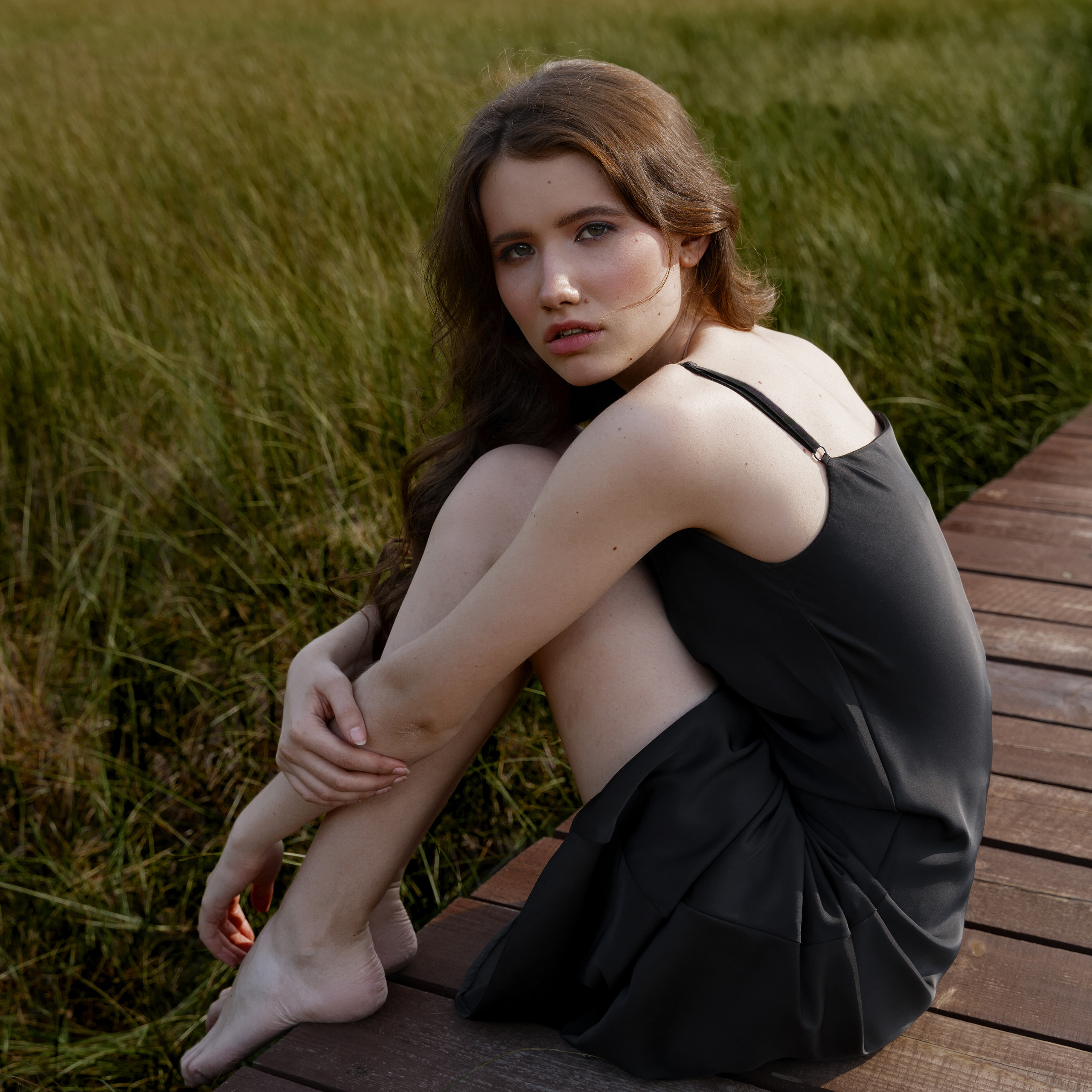 Project «Alenushka»