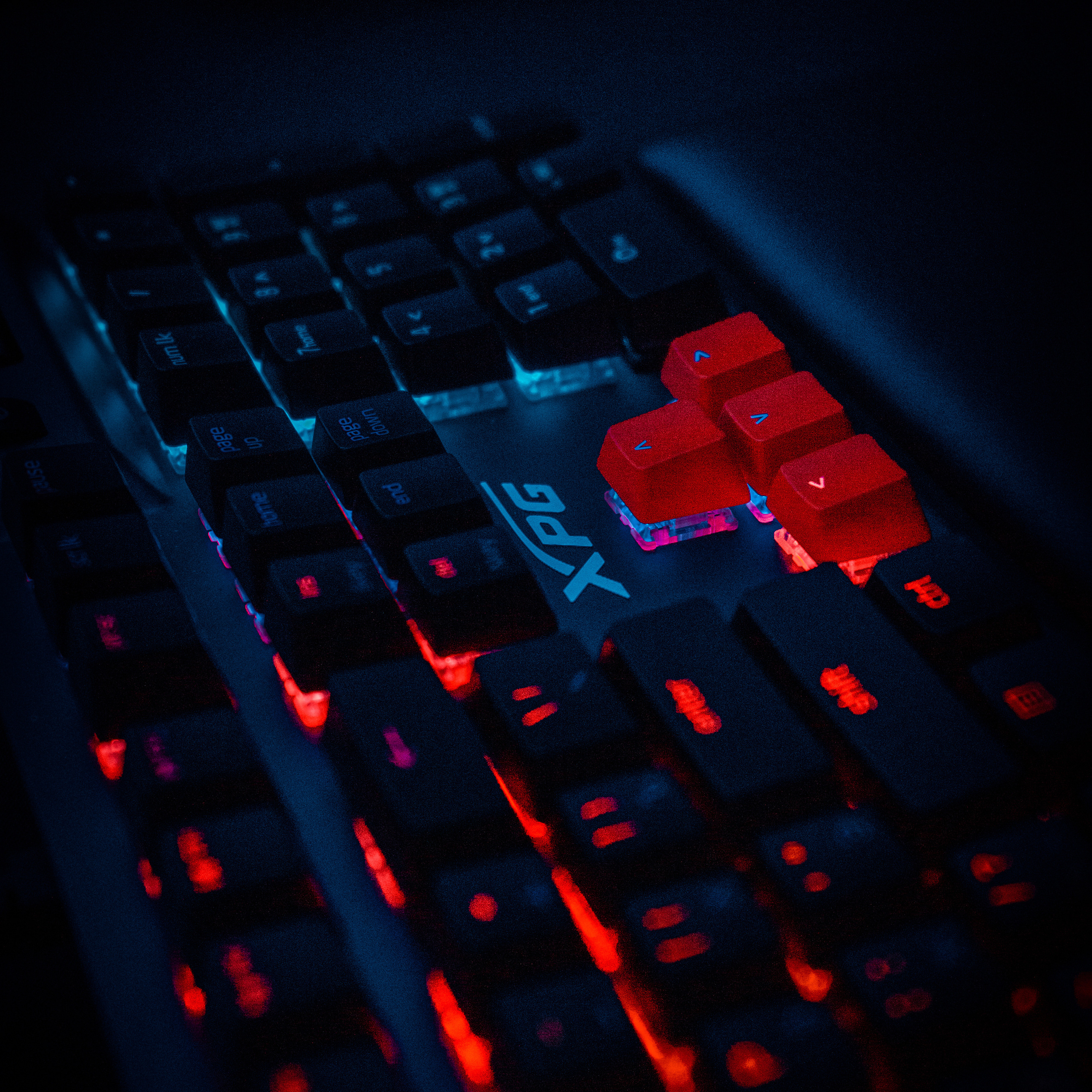 XPG. Стрелков Антон — фотограф