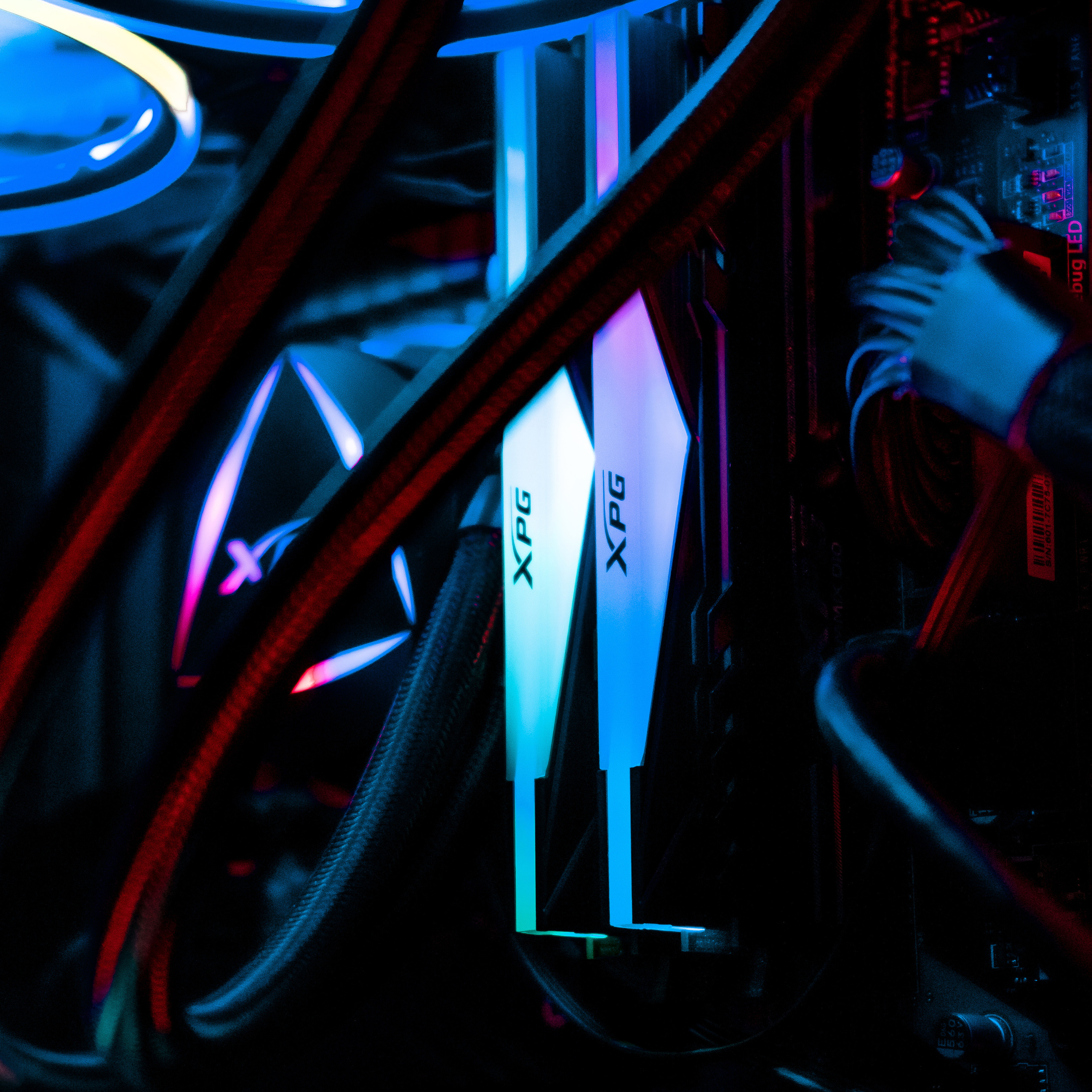 XPG. Стрелков Антон — фотограф