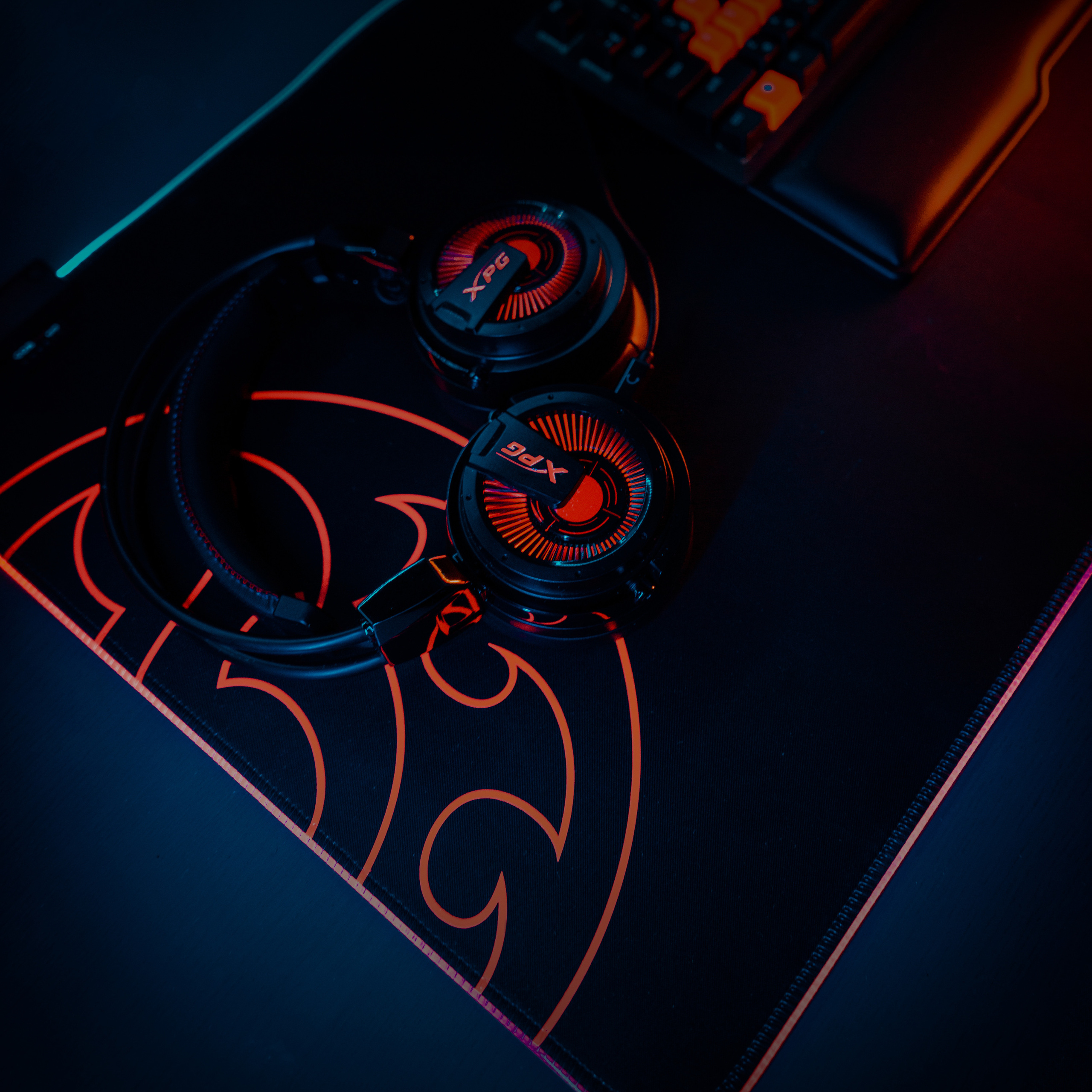 XPG. Стрелков Антон — фотограф