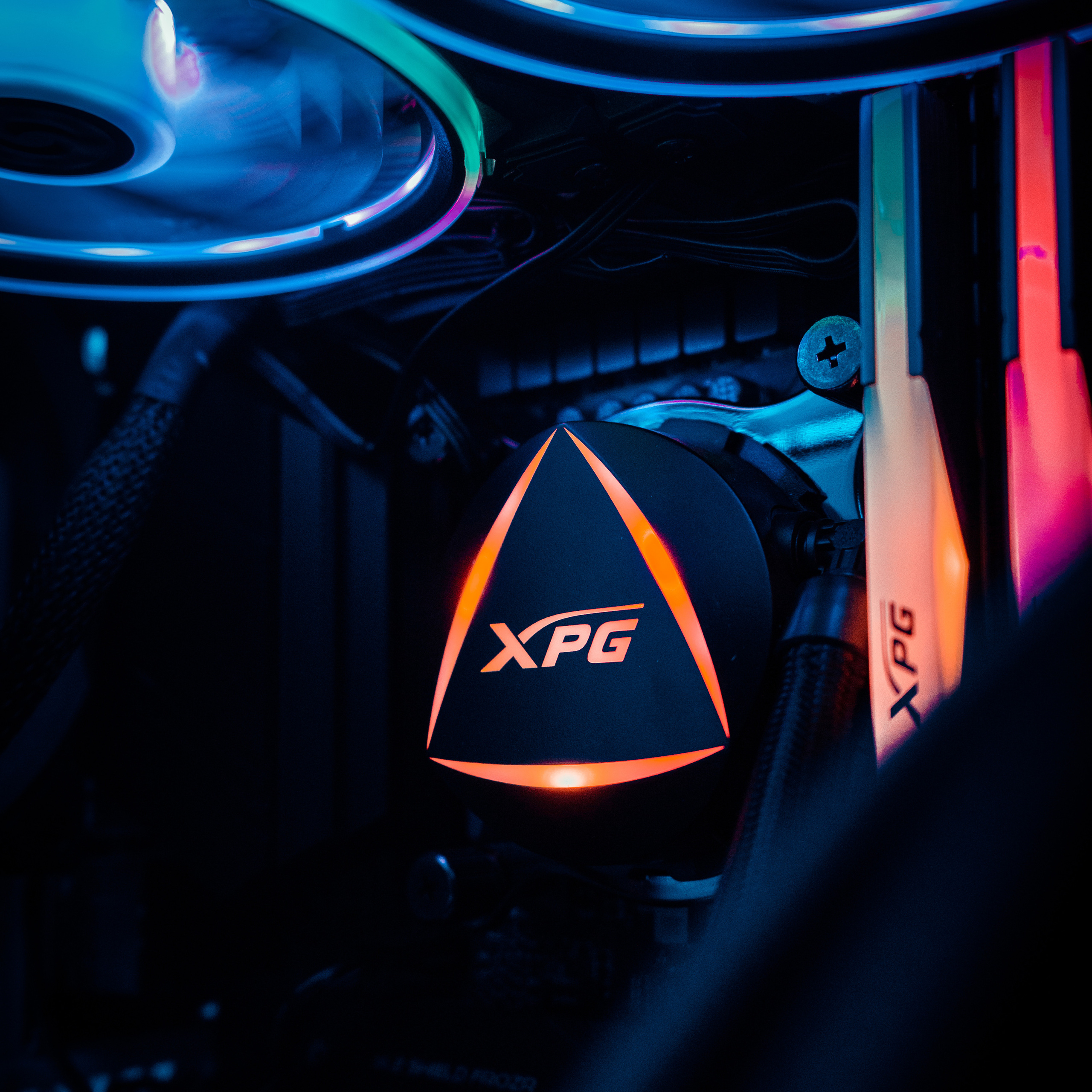 XPG. Стрелков Антон — фотограф