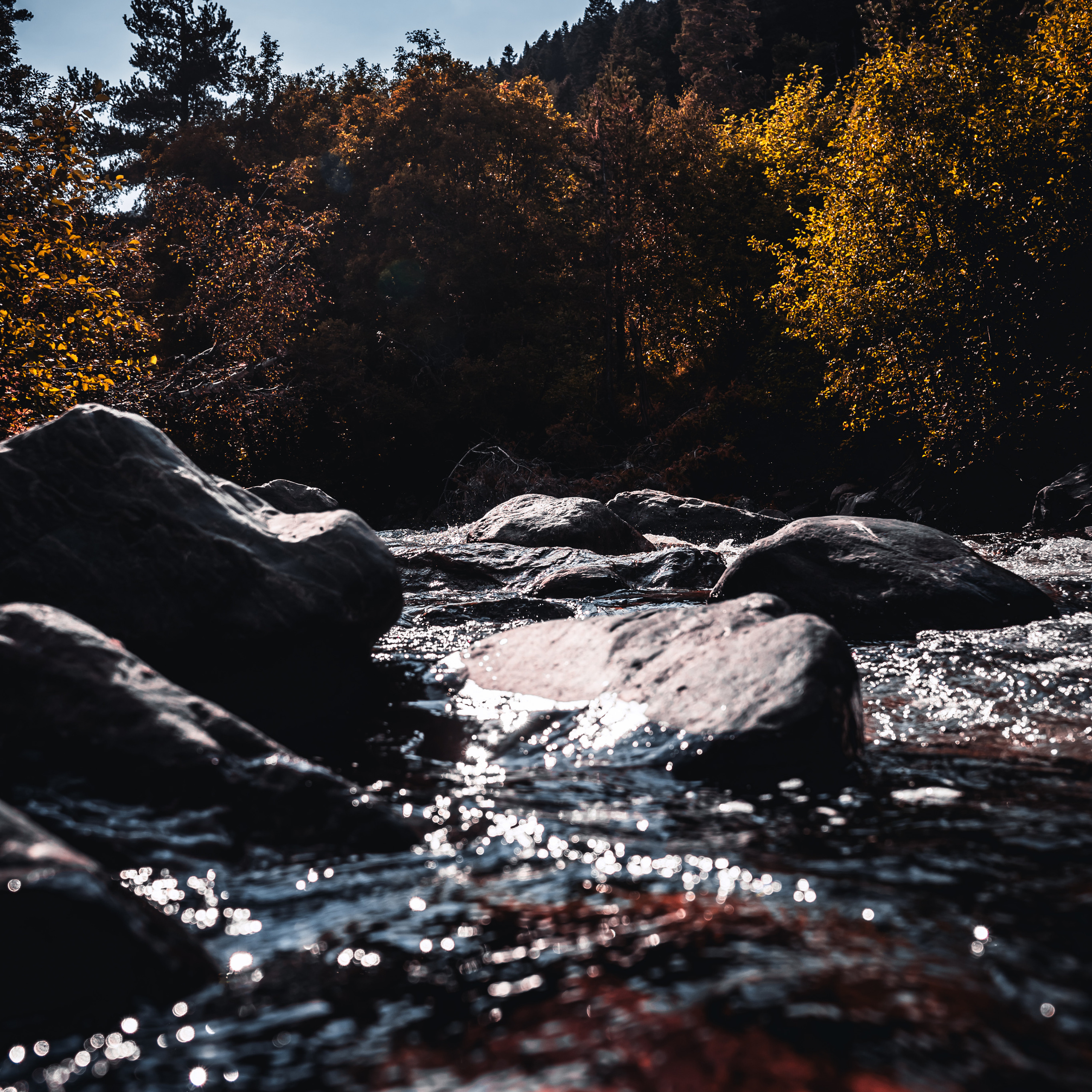 Arkhyz. Стрелков Антон — фотограф