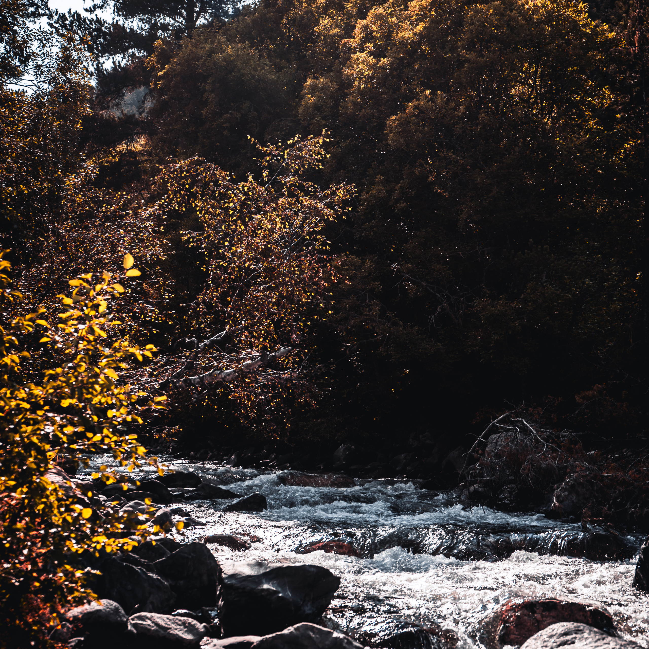 Arkhyz. Стрелков Антон — фотограф