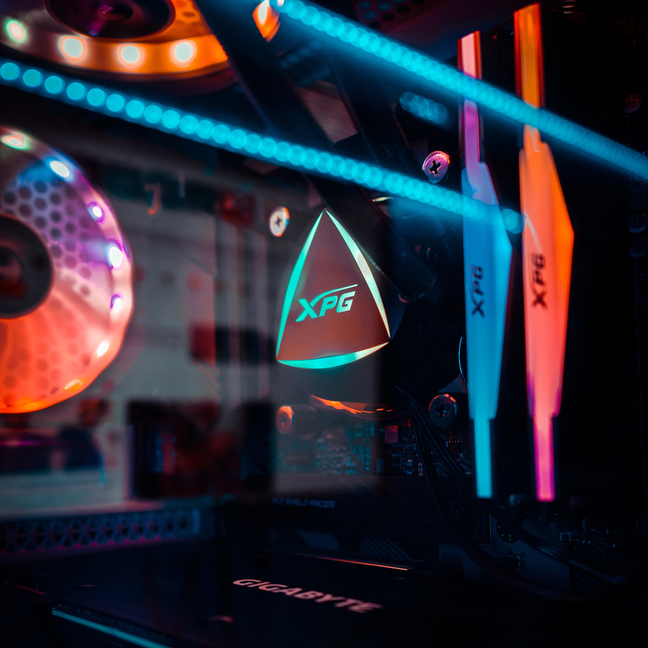 XPG. Стрелков Антон — фотограф