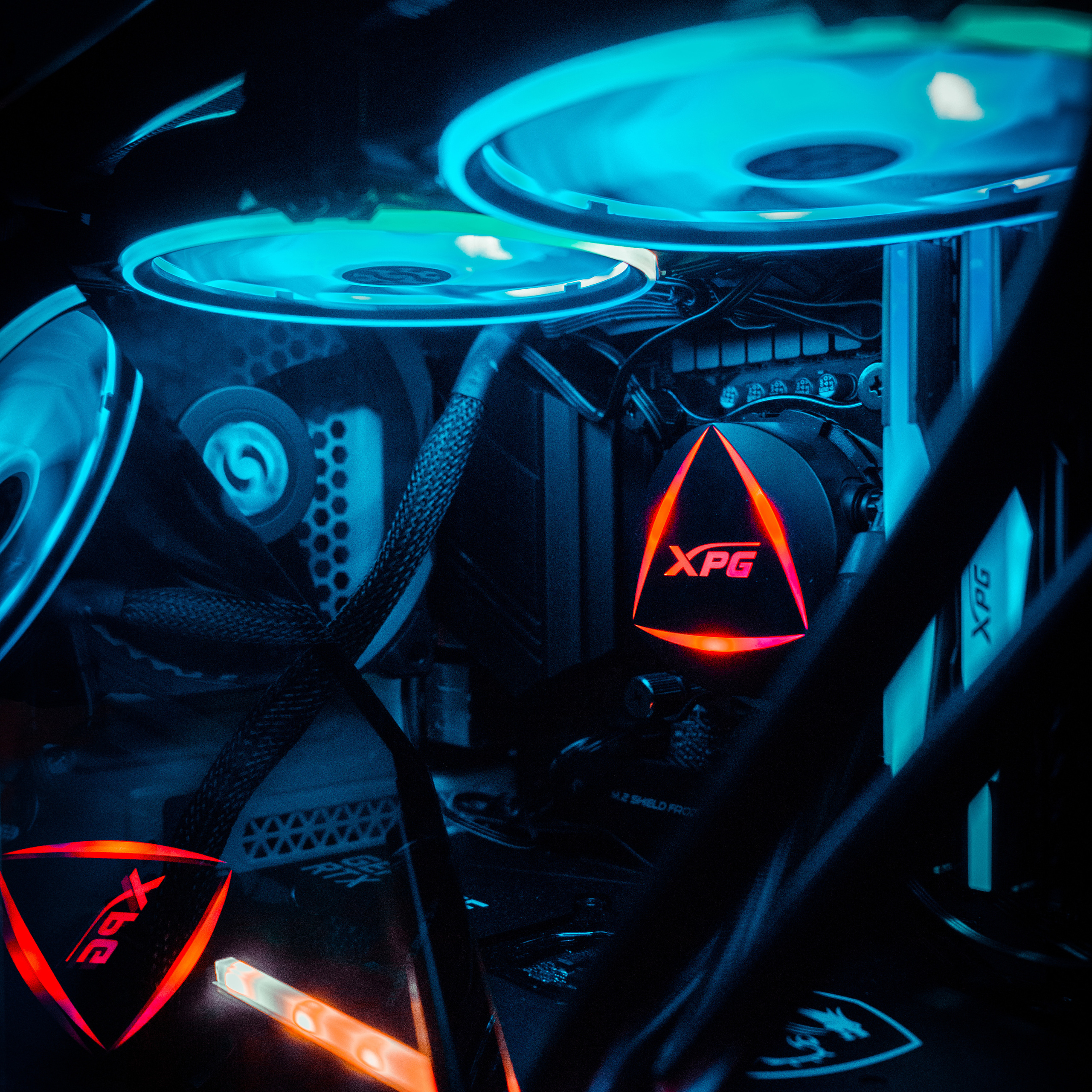 XPG. Стрелков Антон — фотограф