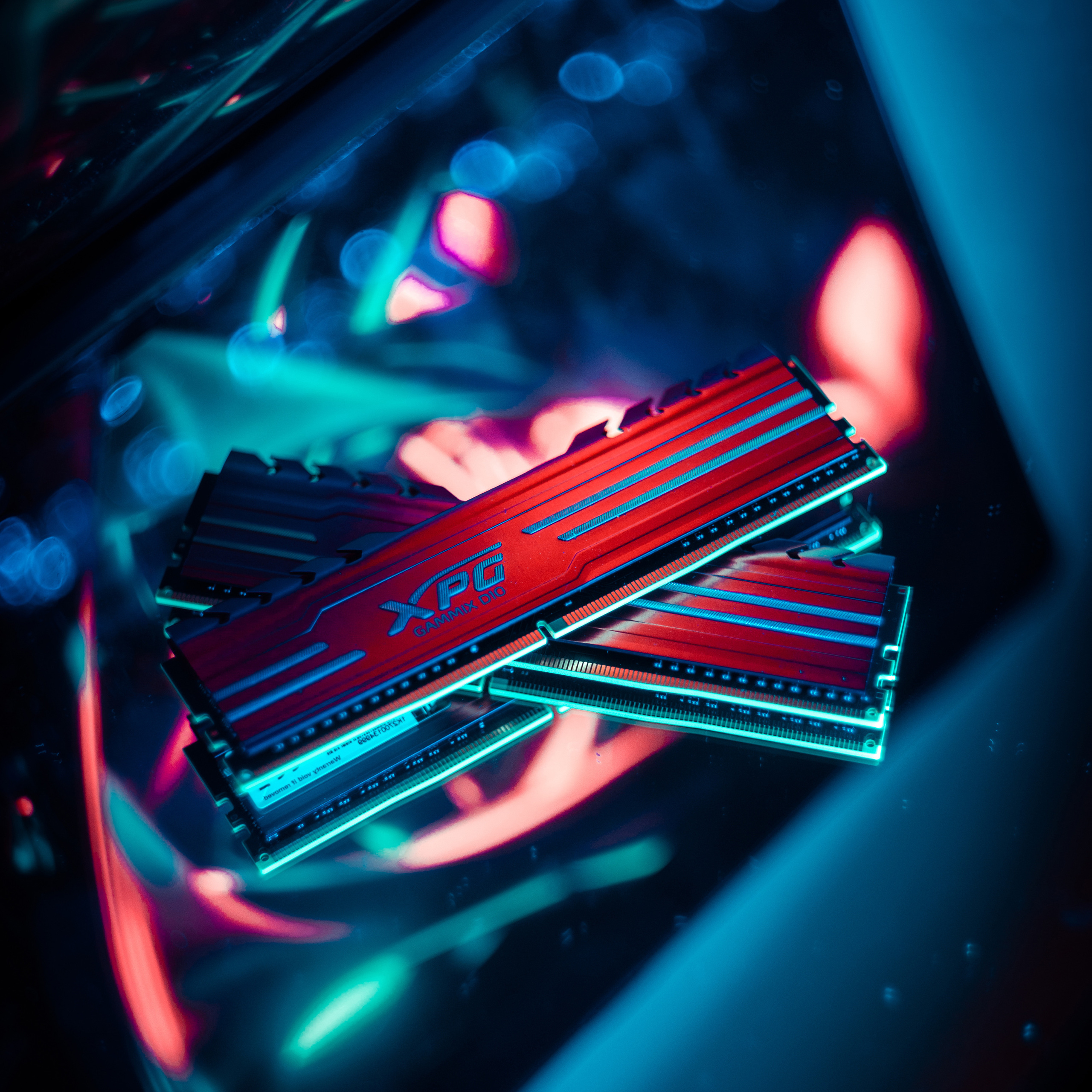 XPG. Стрелков Антон — фотограф