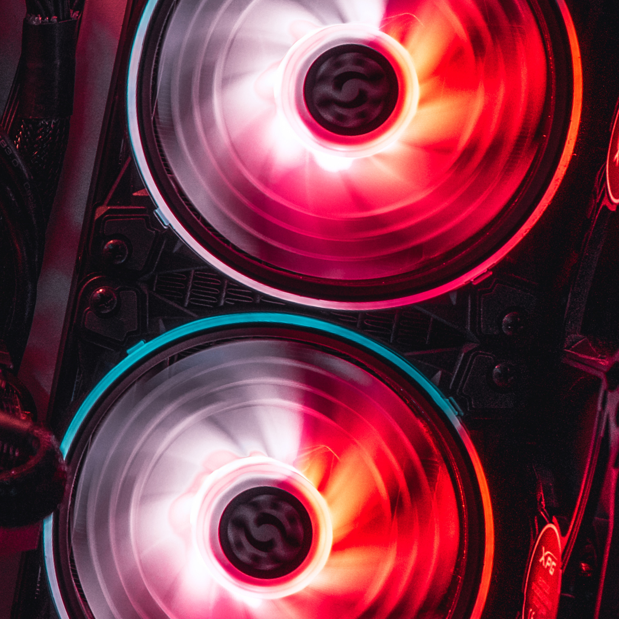 XPG. Стрелков Антон — фотограф