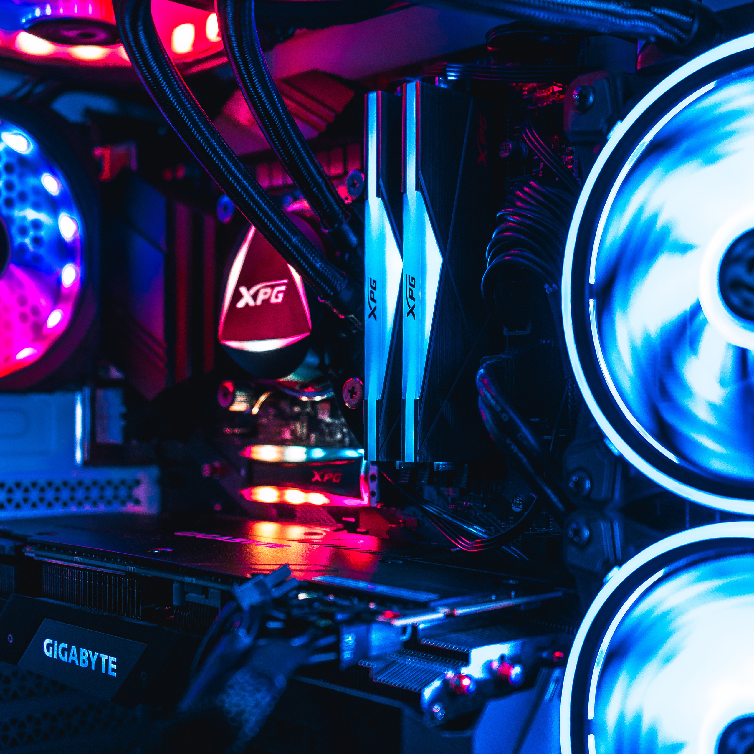 XPG. Стрелков Антон — фотограф