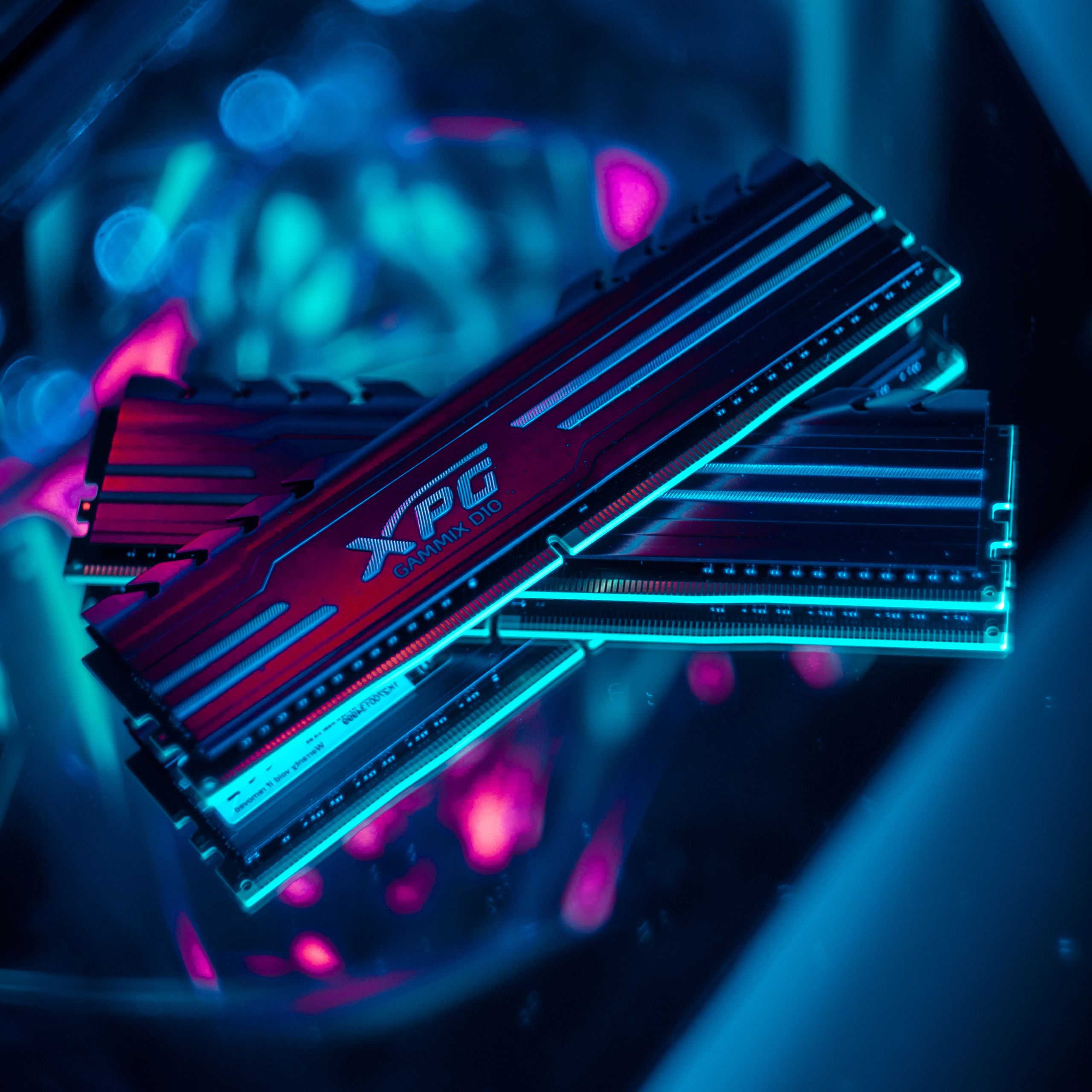 XPG. Стрелков Антон — фотограф