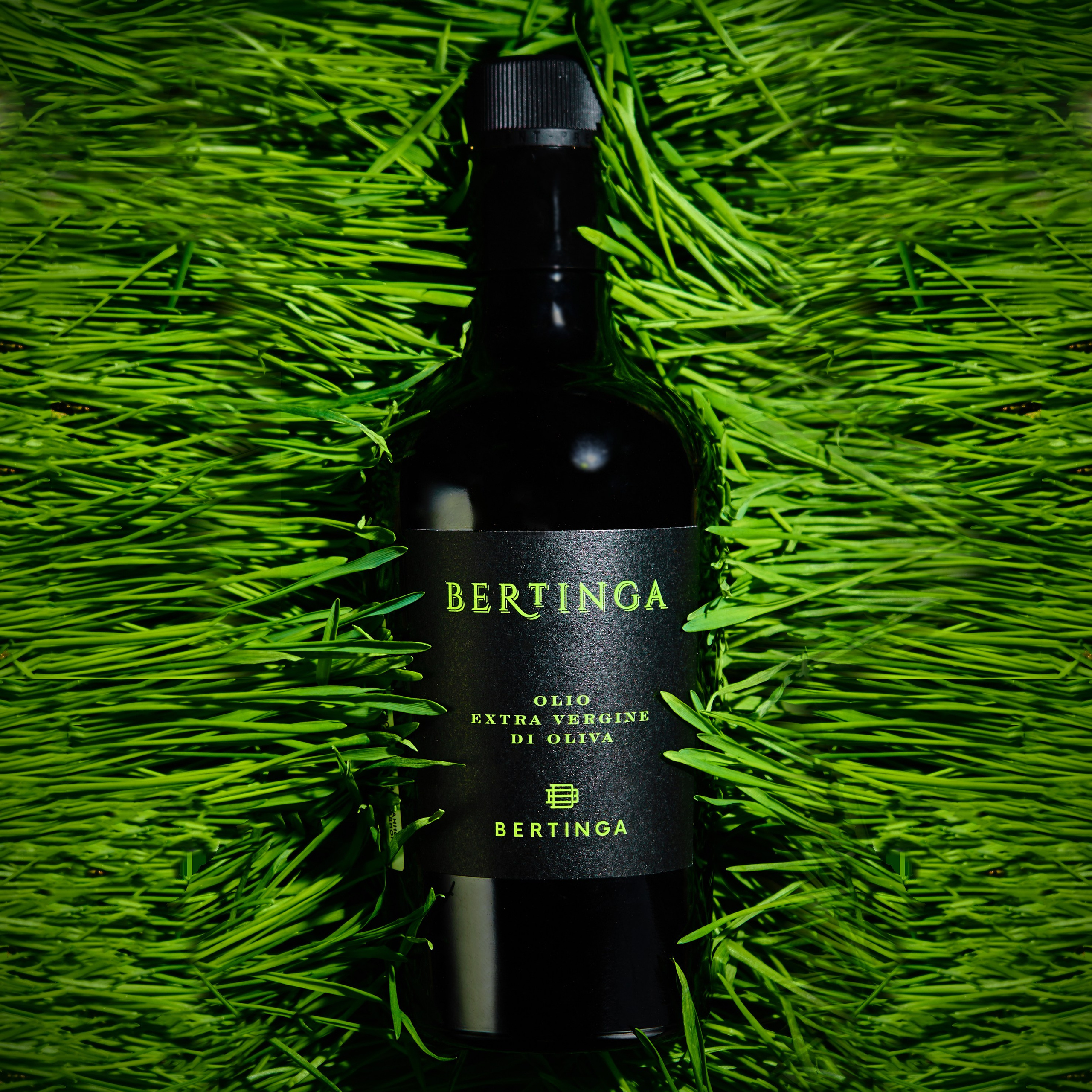 Simple. Стрелков Антон — фотограф