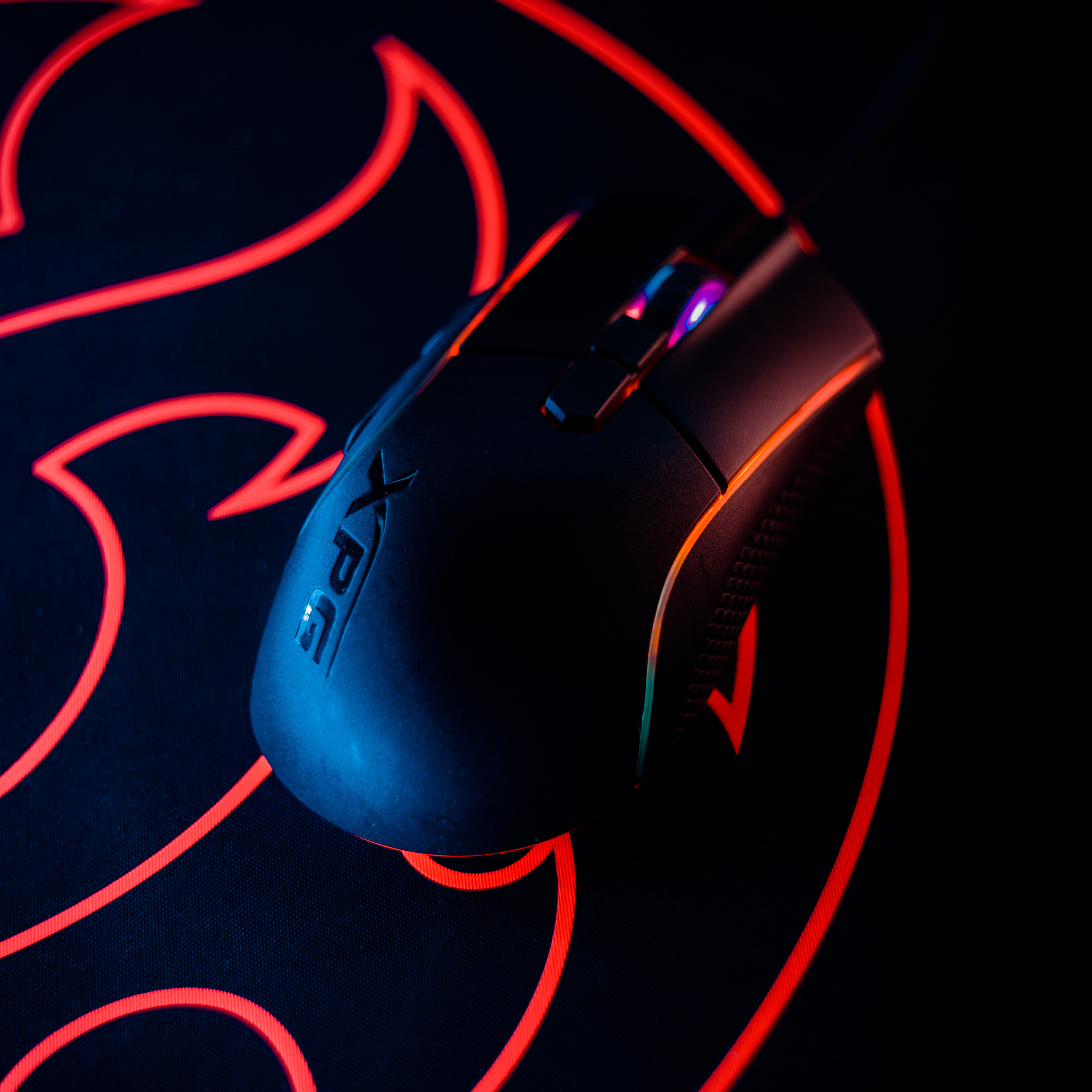 XPG. Стрелков Антон — фотограф