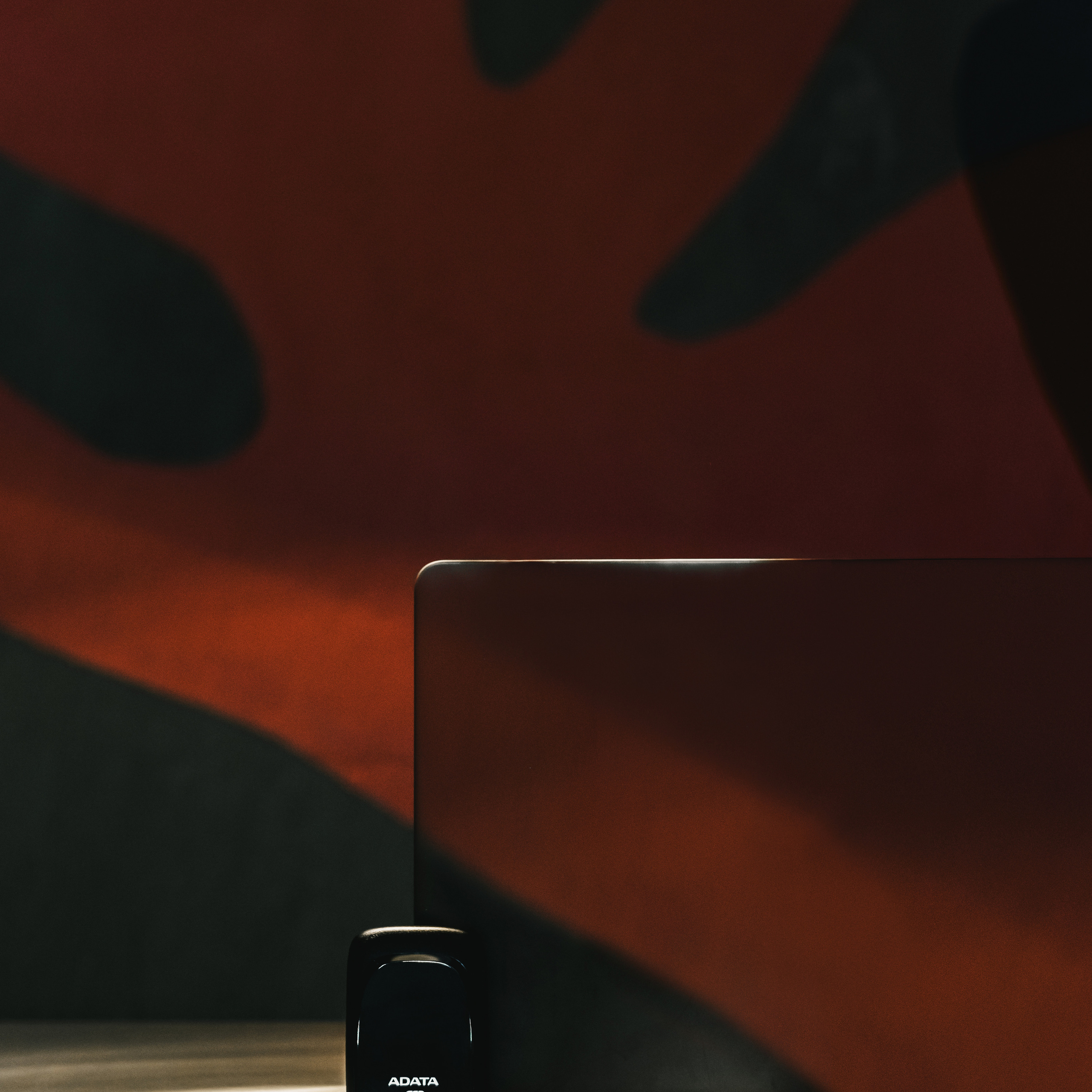 Adata. Стрелков Антон — фотограф