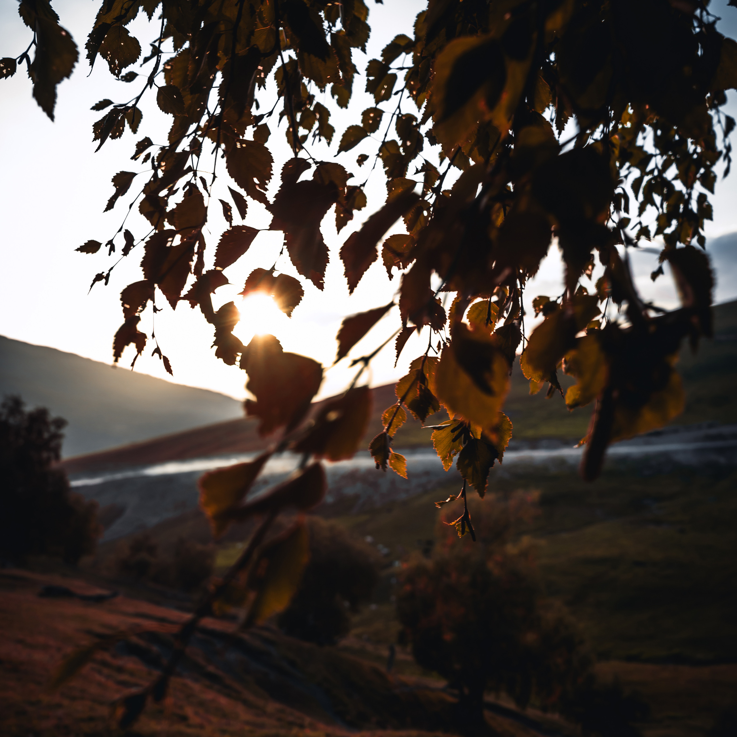 S7 Airlines. Стрелков Антон — фотограф