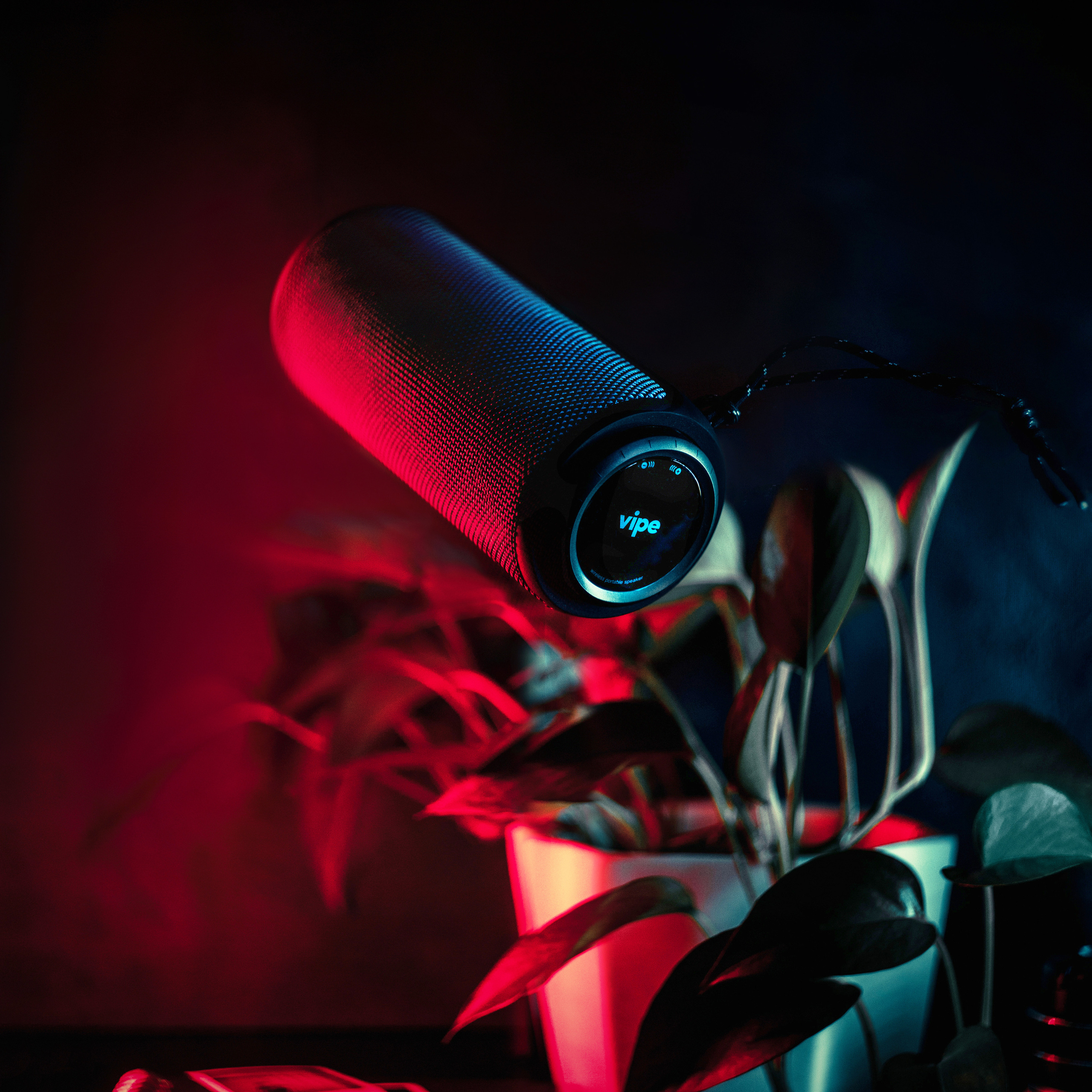 Vipe. Стрелков Антон — фотограф