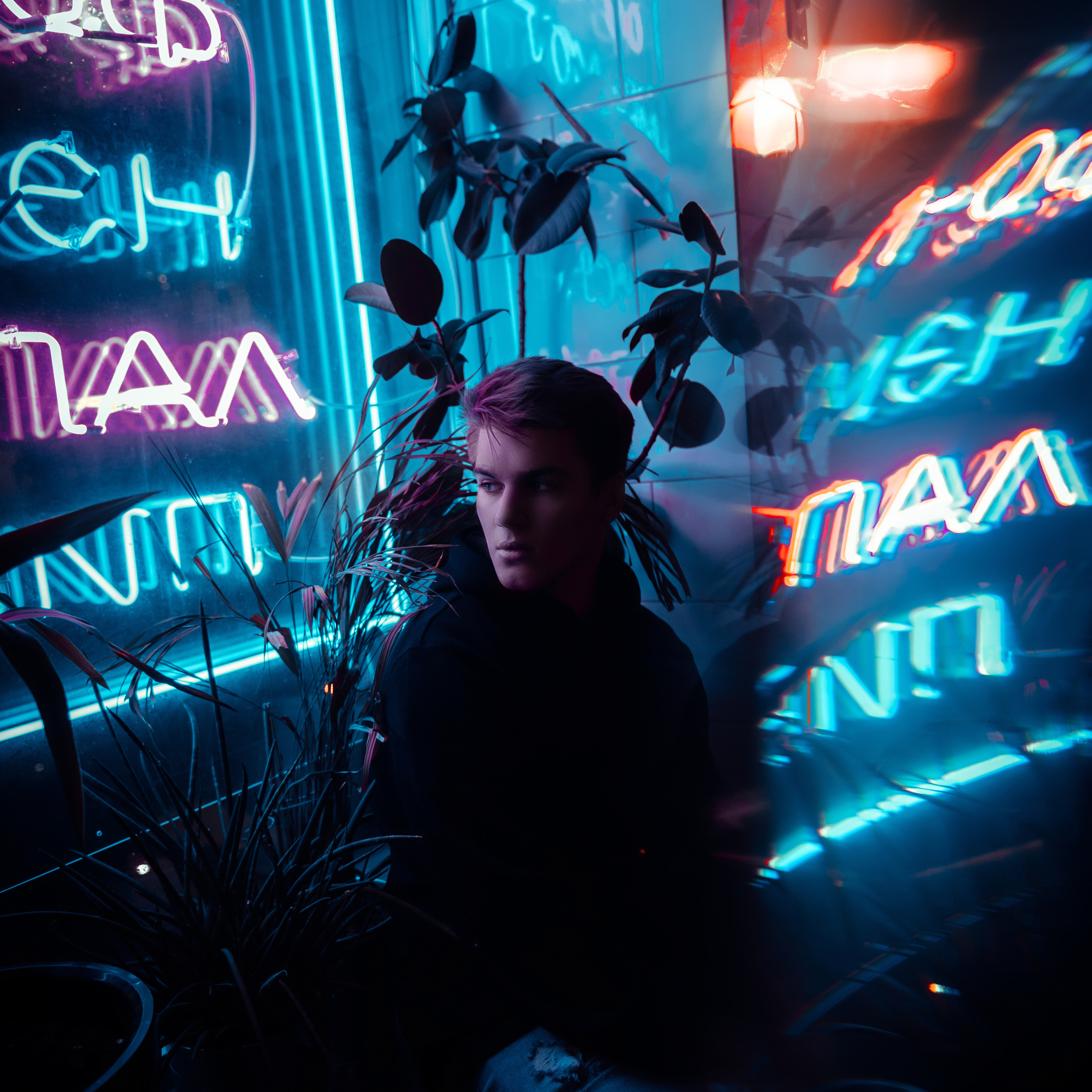 NIkon Z7. Стрелков Антон — фотограф