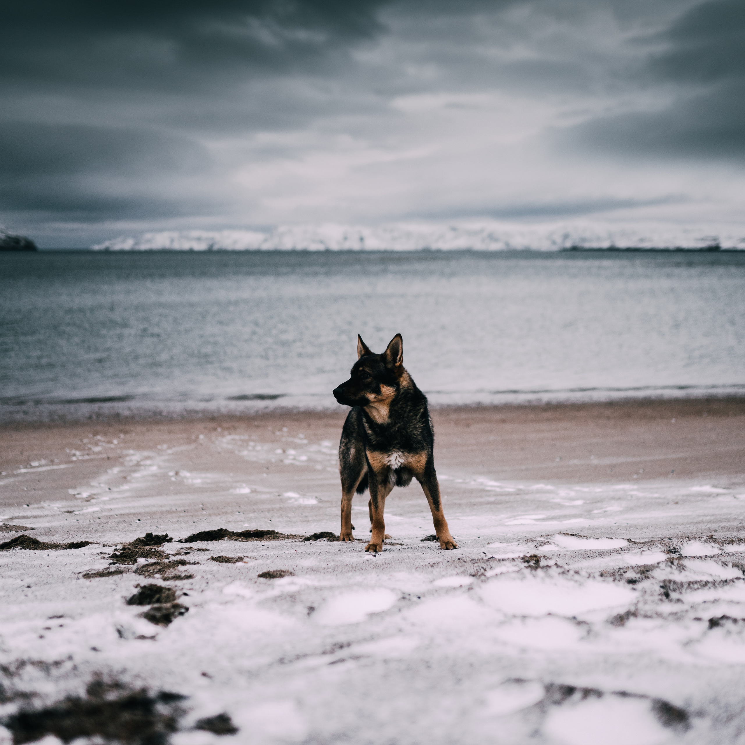 Teriberka. Стрелков Антон — фотограф