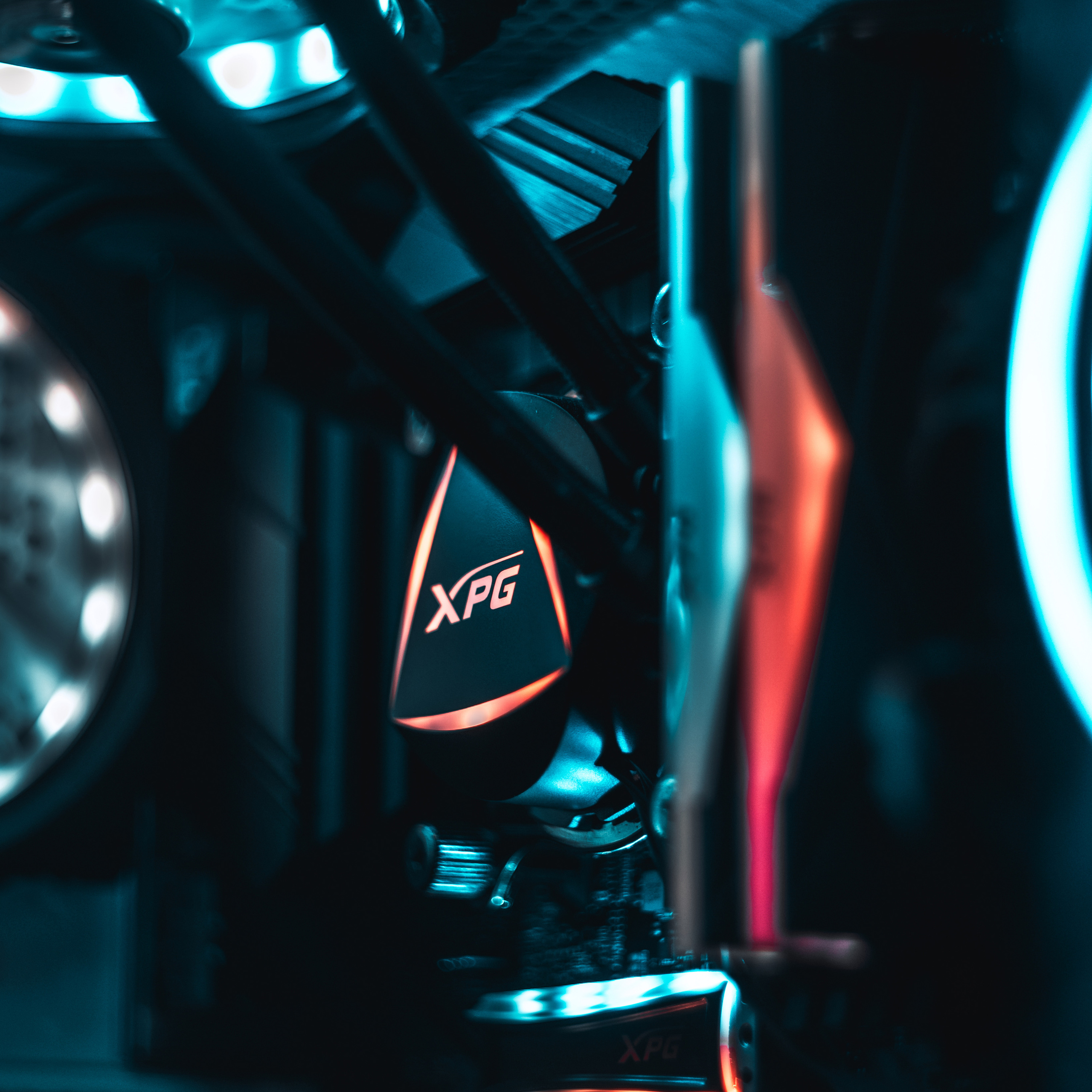 XPG. Стрелков Антон — фотограф