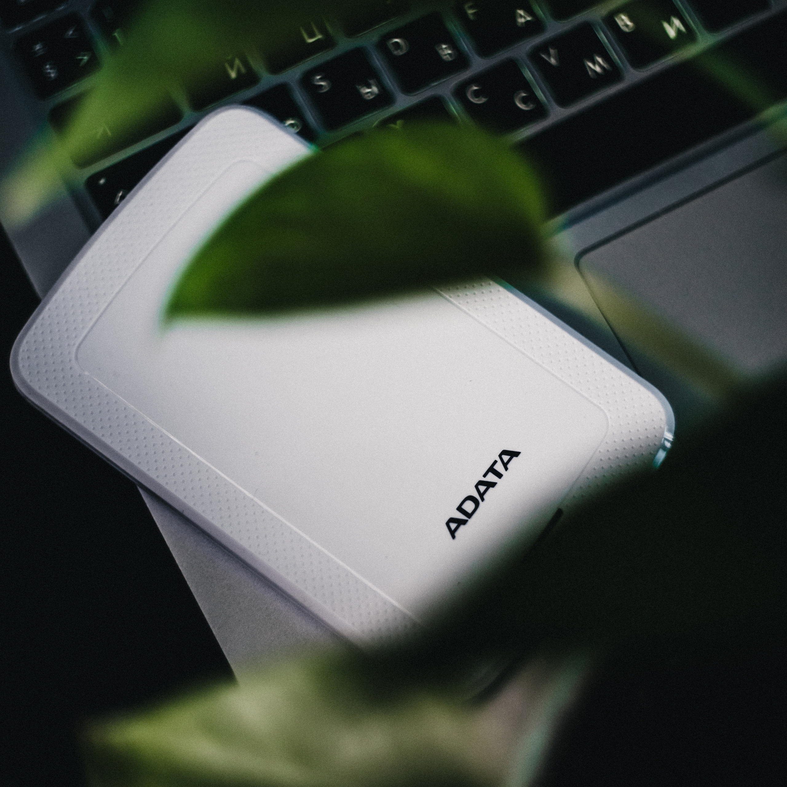 Adata. Стрелков Антон — фотограф