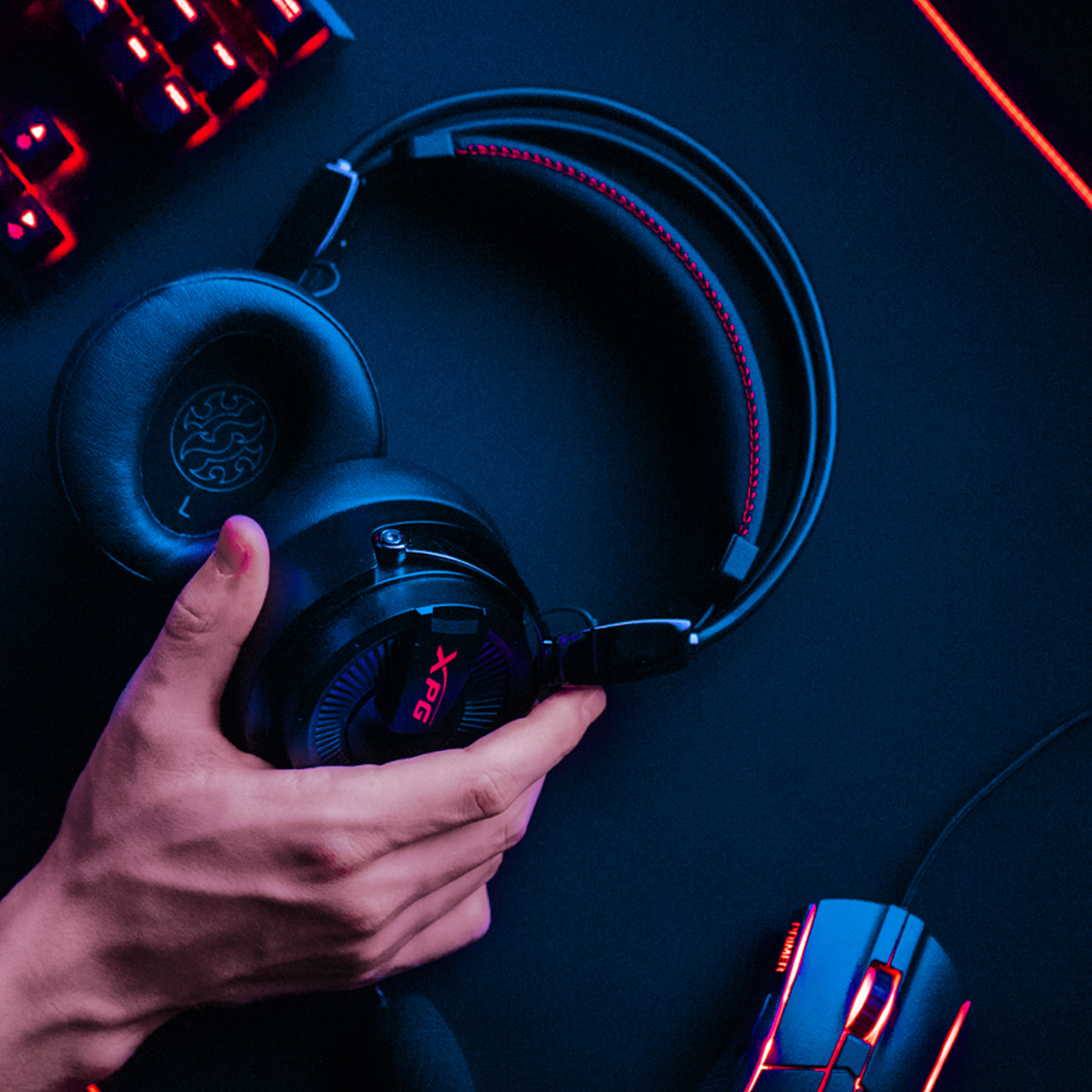 XPG. Стрелков Антон — фотограф