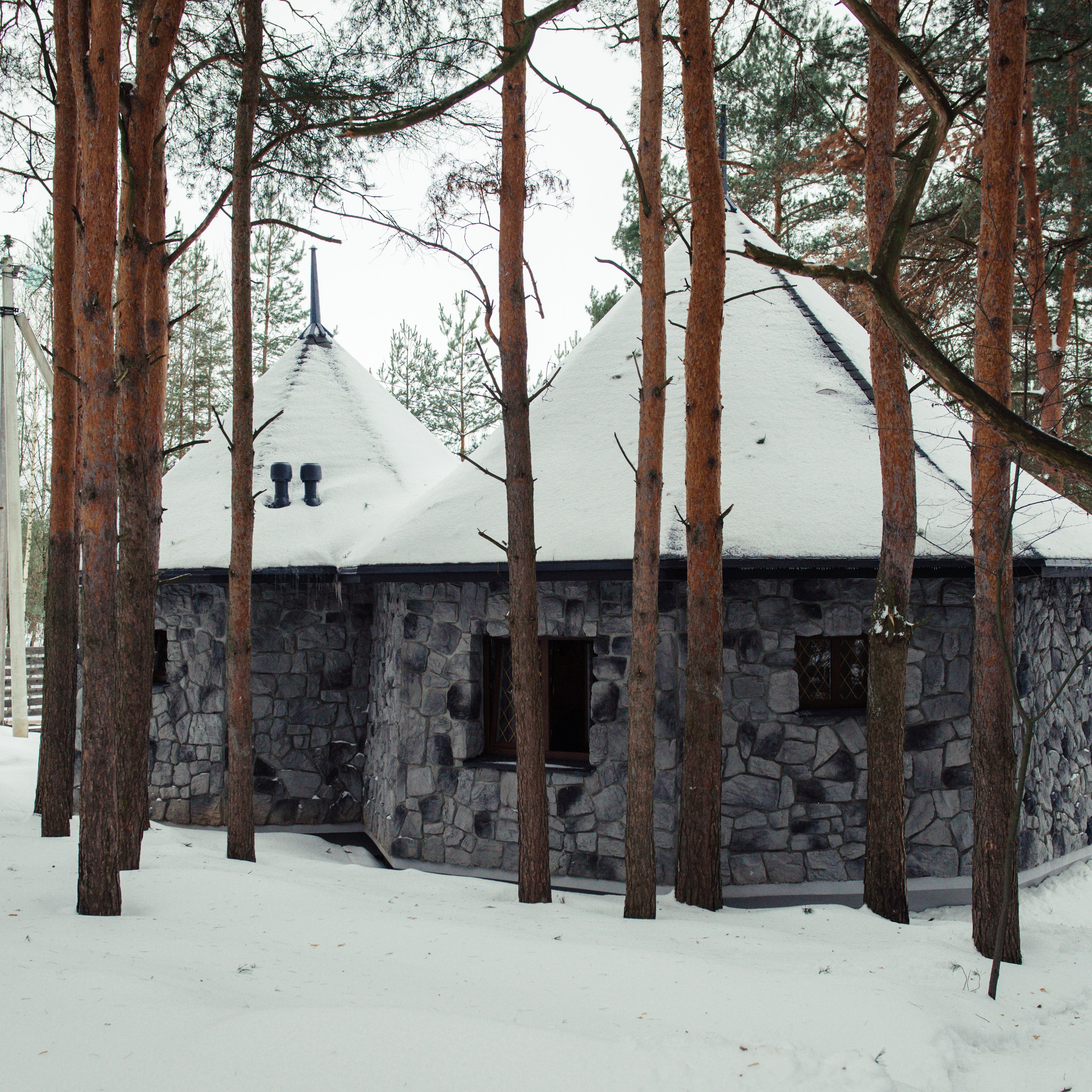 Отзывы. Фотограф Алёна Липатова. Репортаж. Портрет. Москва