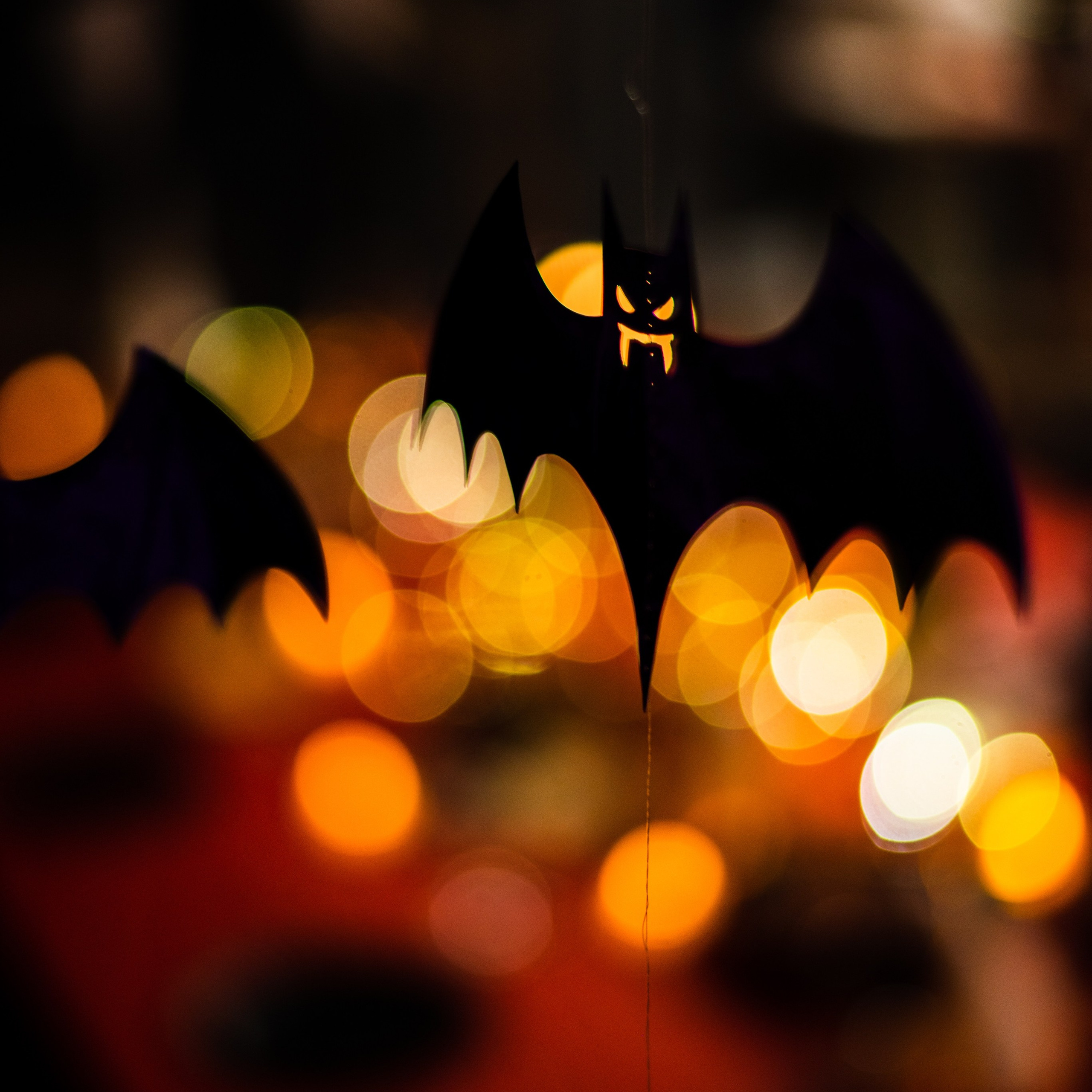 Отзывы. Фотограф Алёна Липатова. Репортаж. Портрет. Москва