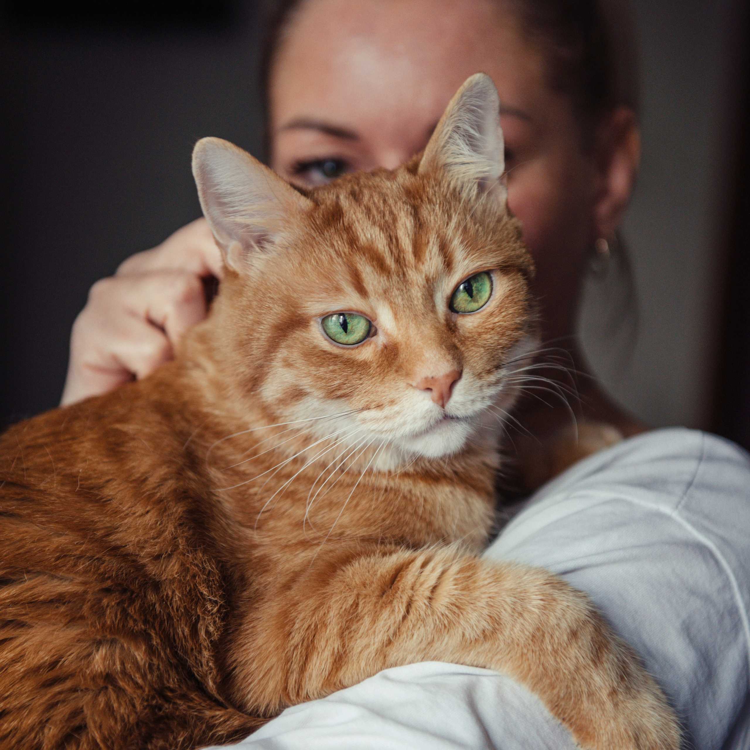 Отзывы. Фотограф Алёна Липатова. Репортаж. Портрет. Москва