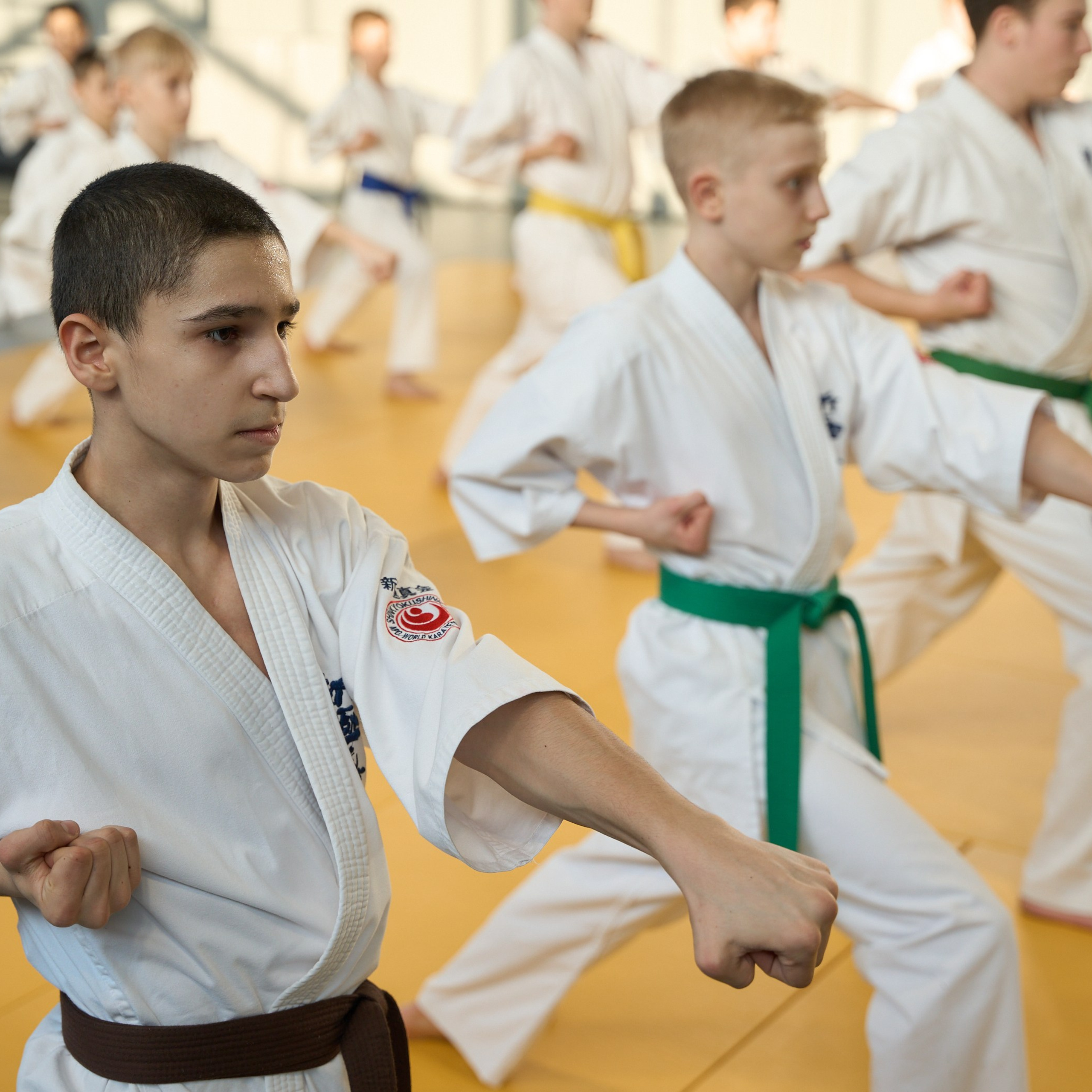 Открытие центров спортивных единоборств «Сокол» Красноярск/Дивногорск. Александр Сазонов Красноярск