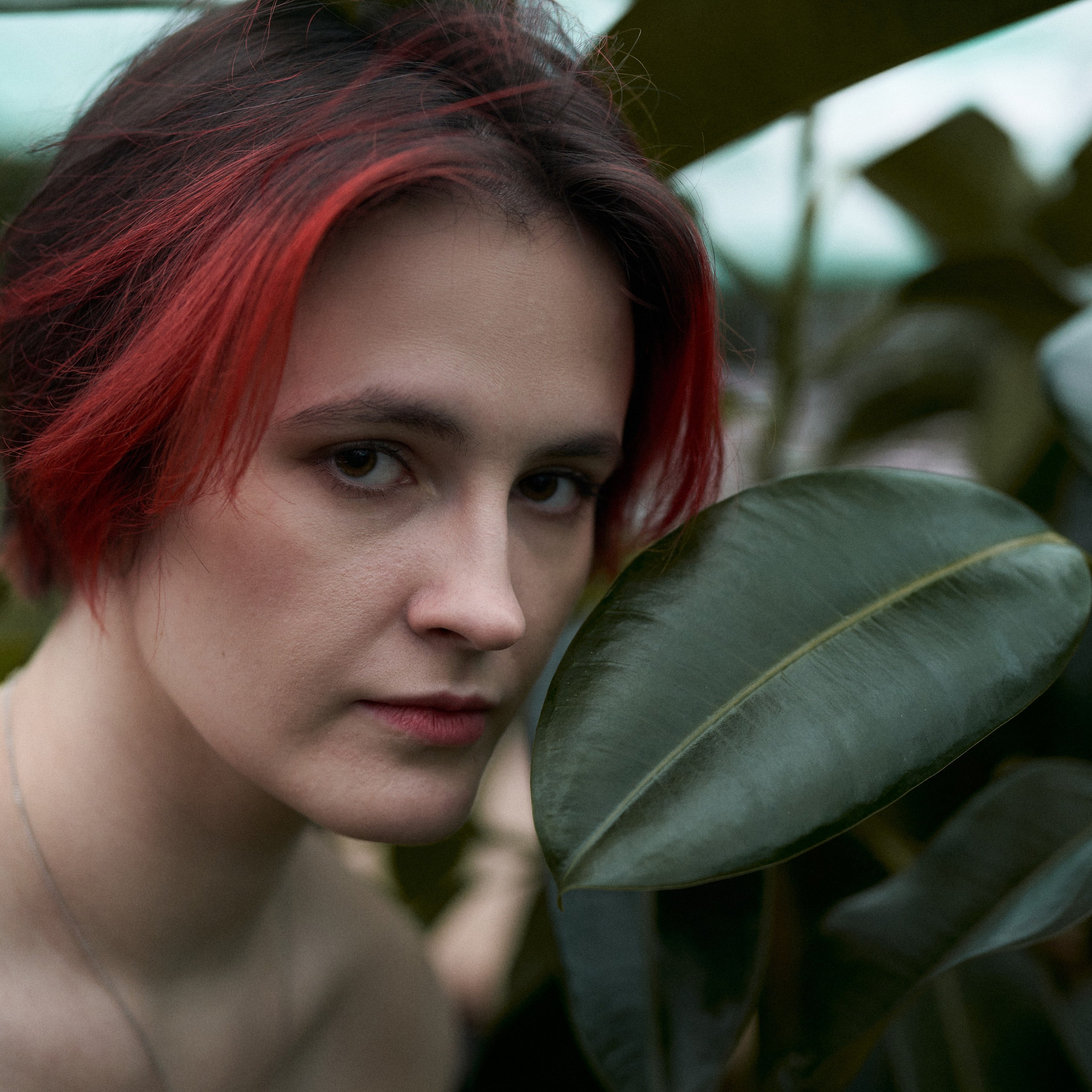 Wild Les. Александр Сазонов Красноярск