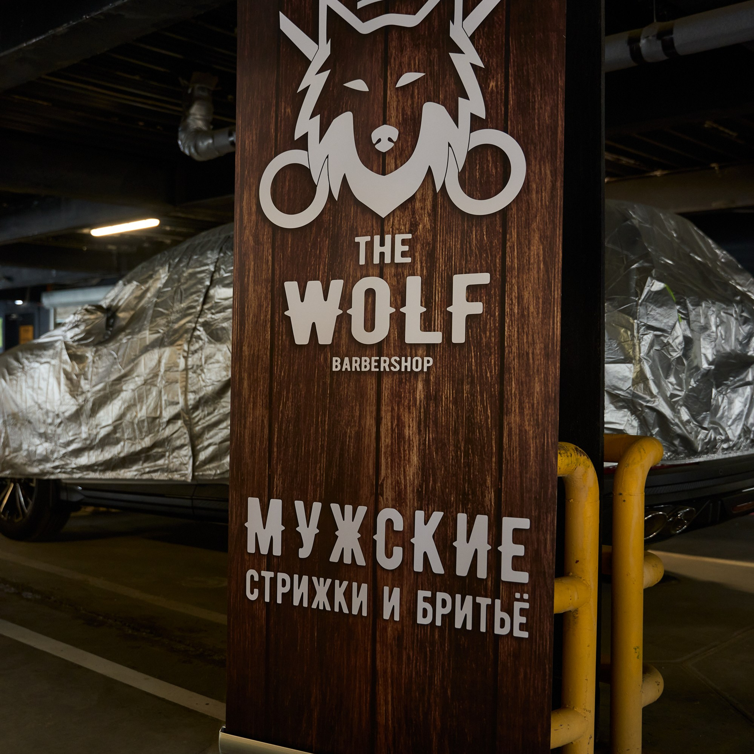 WOW Fest. Александр Сазонов Красноярск